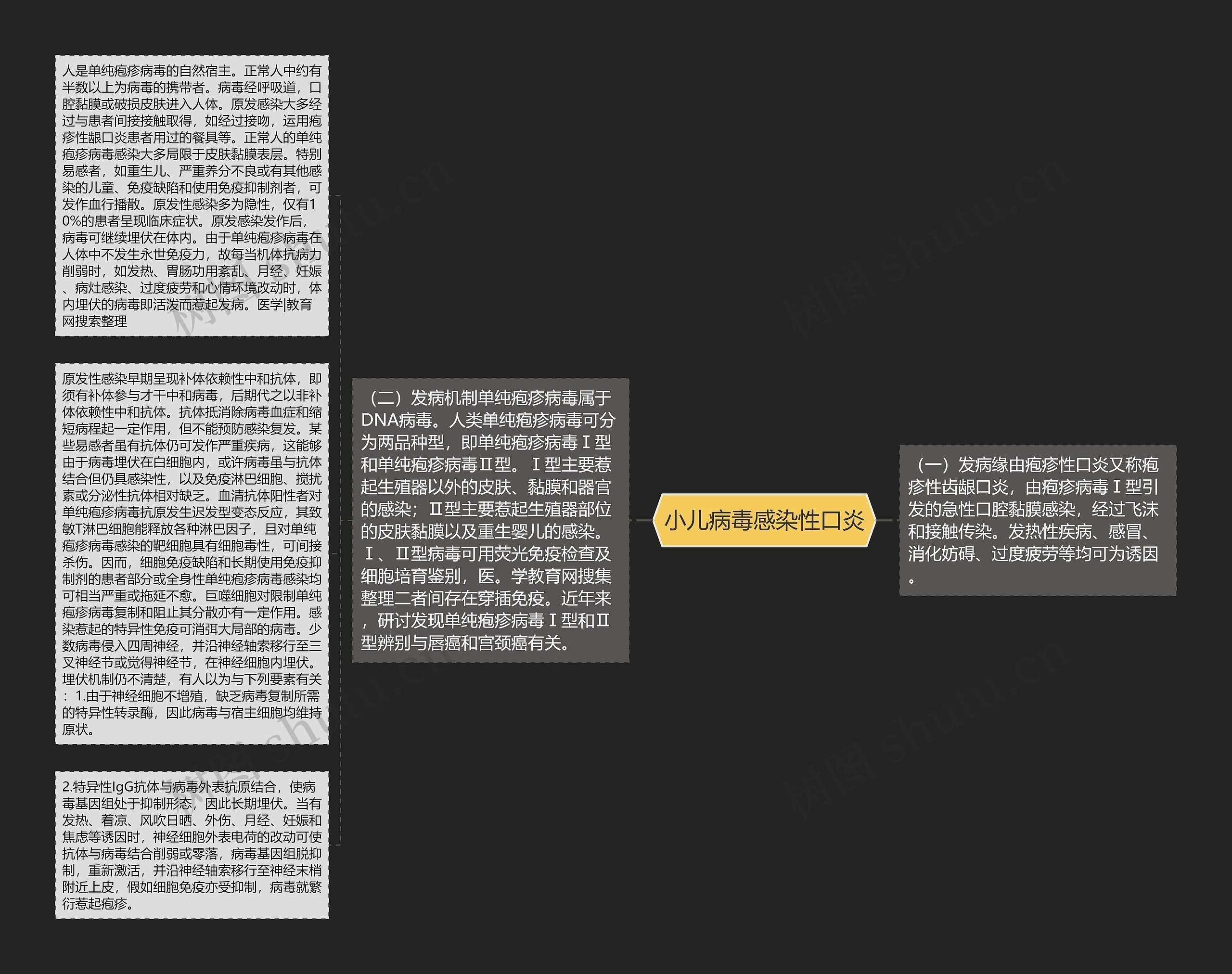 小儿病毒感染性口炎