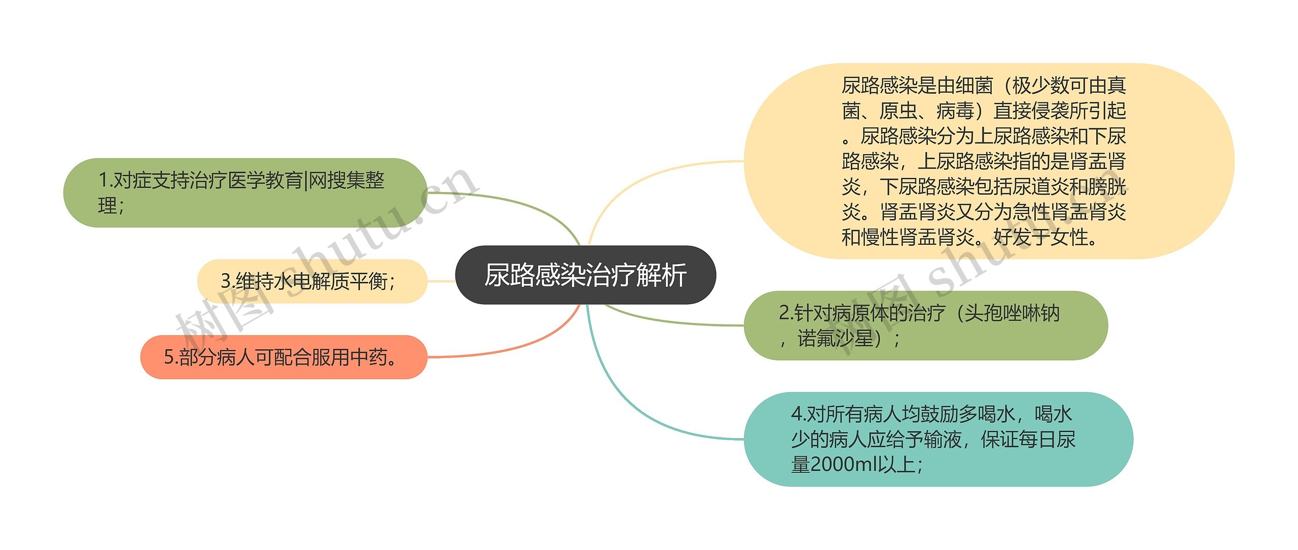 尿路感染治疗解析思维导图