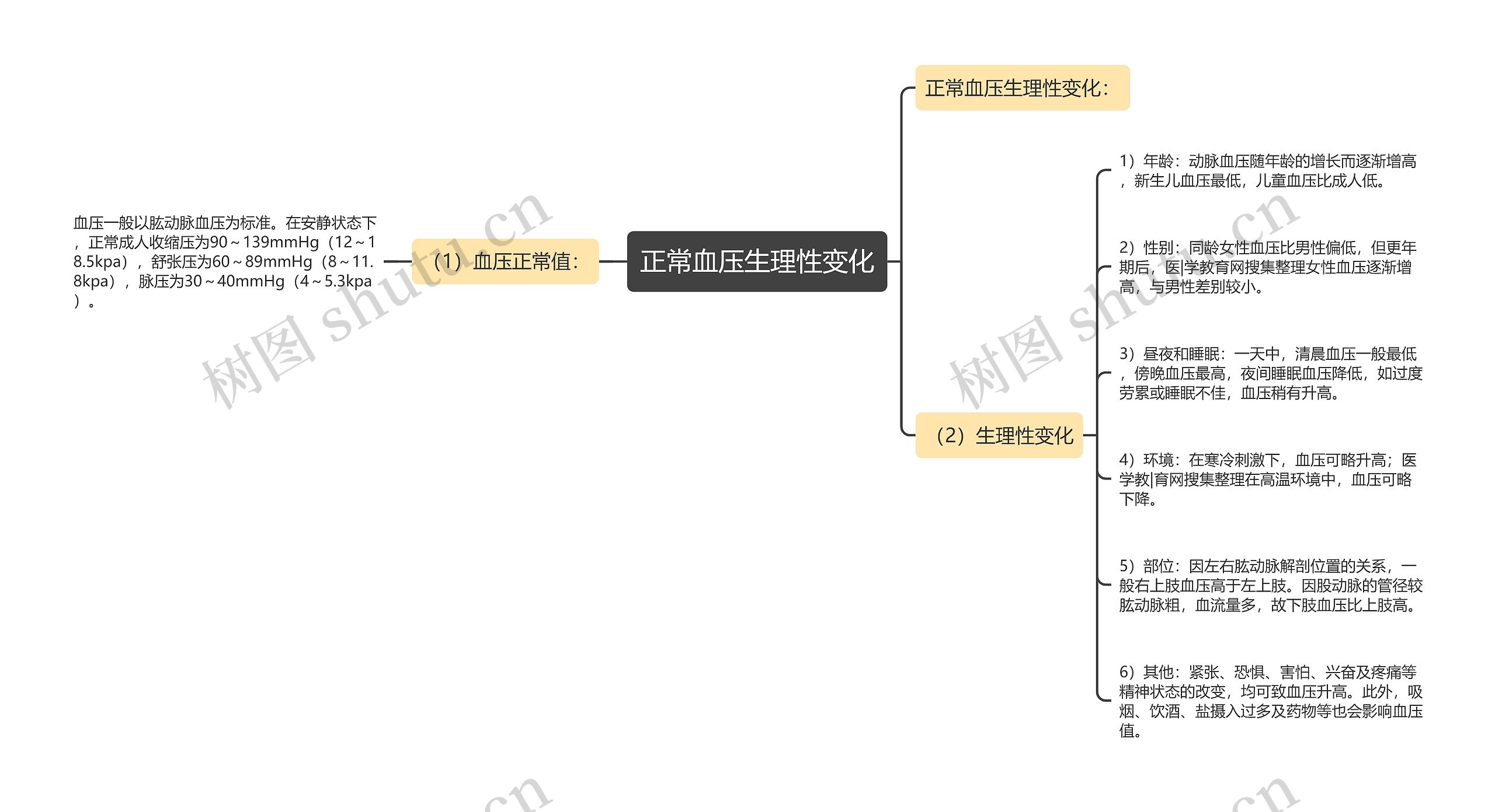 正常血压生理性变化思维导图