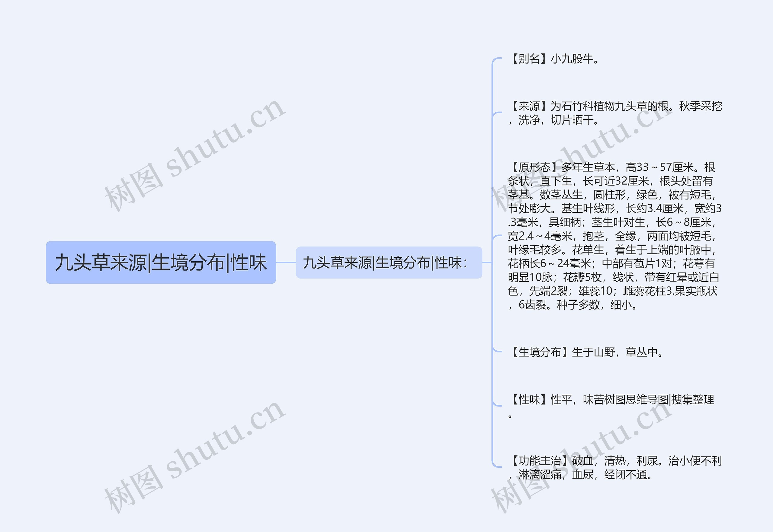 九头草来源|生境分布|性味思维导图