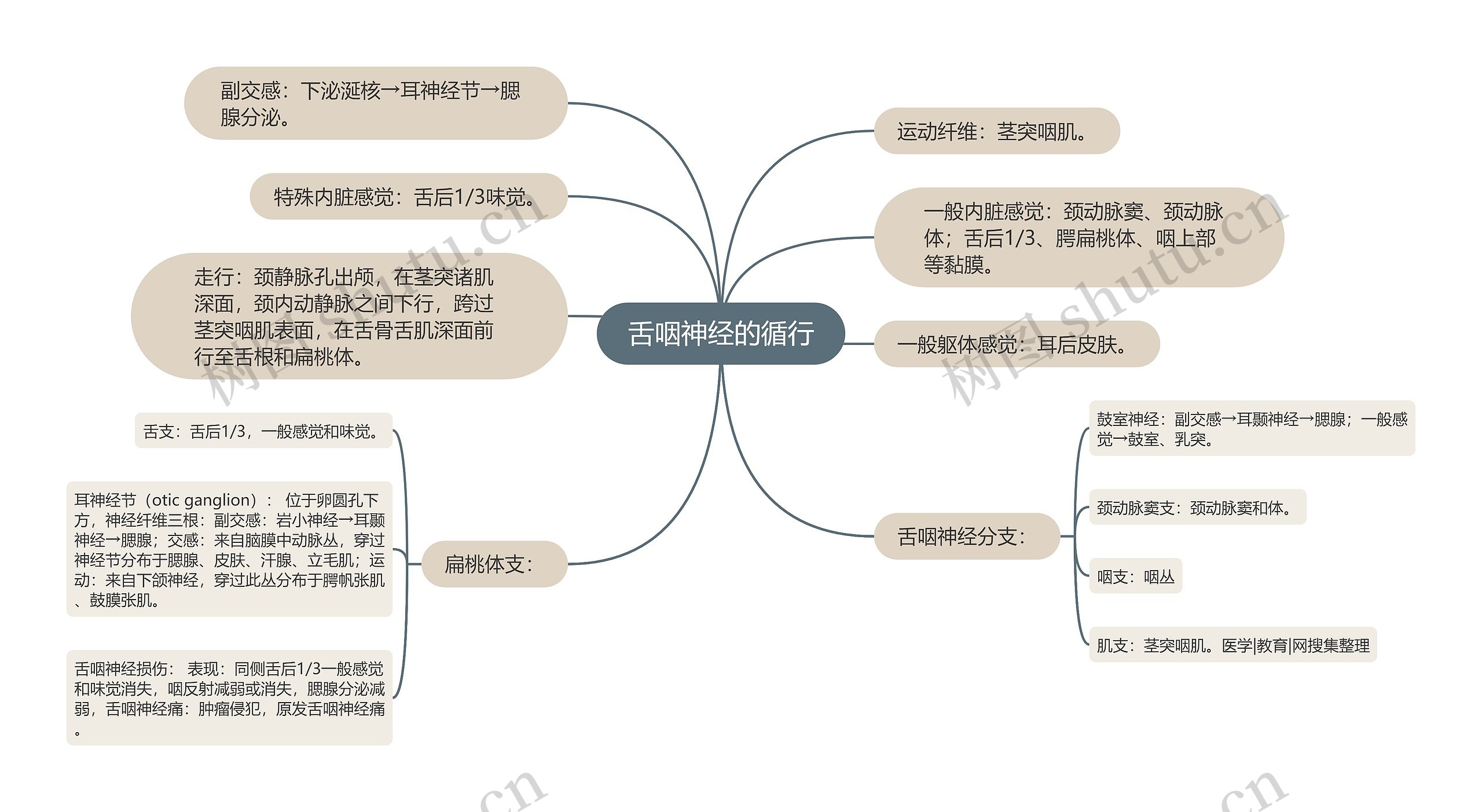 舌咽神经的循行思维导图