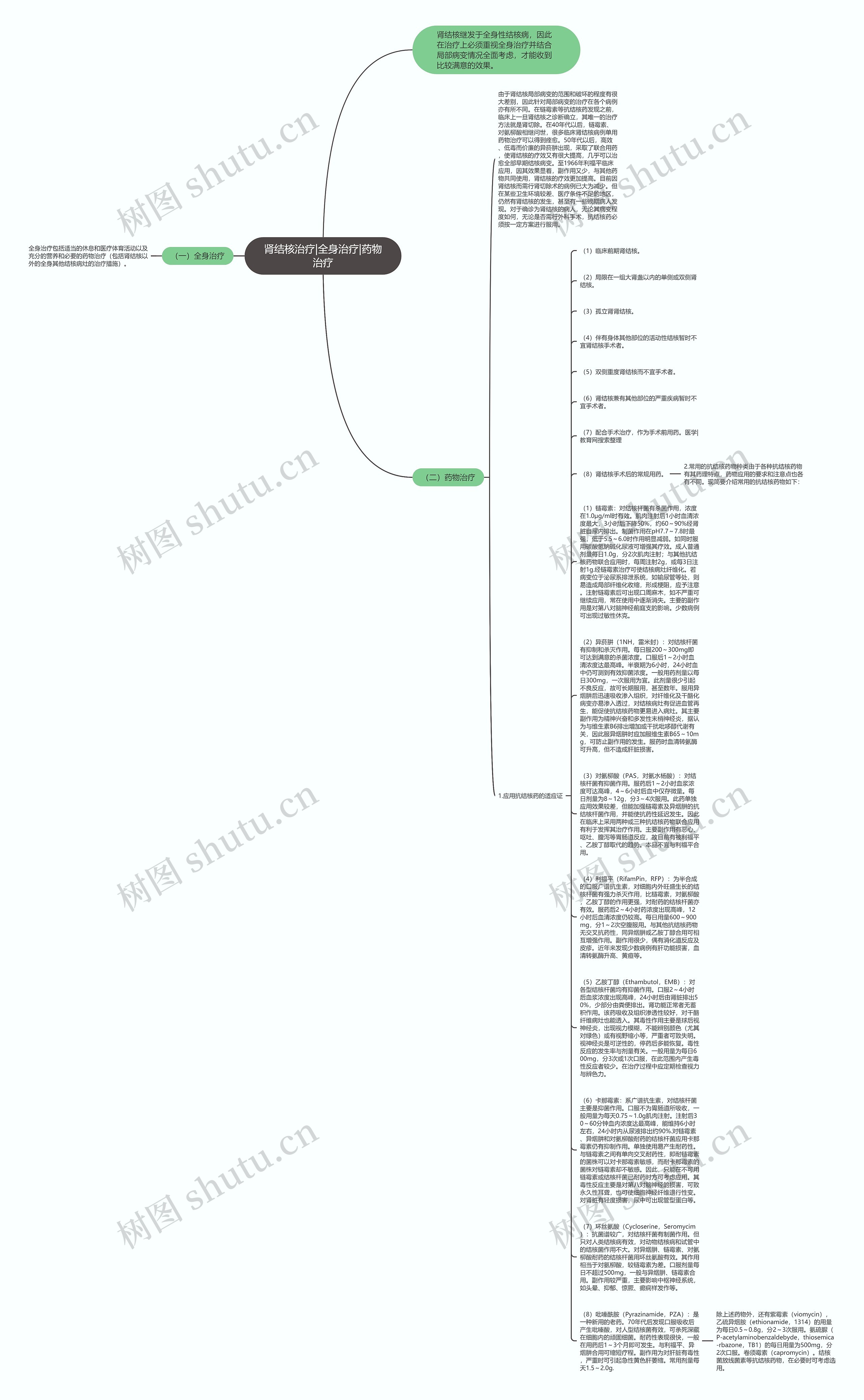 肾结核治疗|全身治疗|药物治疗思维导图