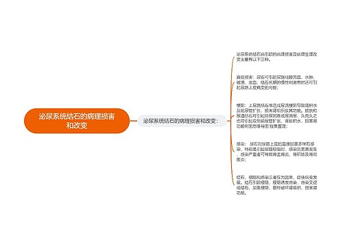 泌尿系统结石的病理损害和改变