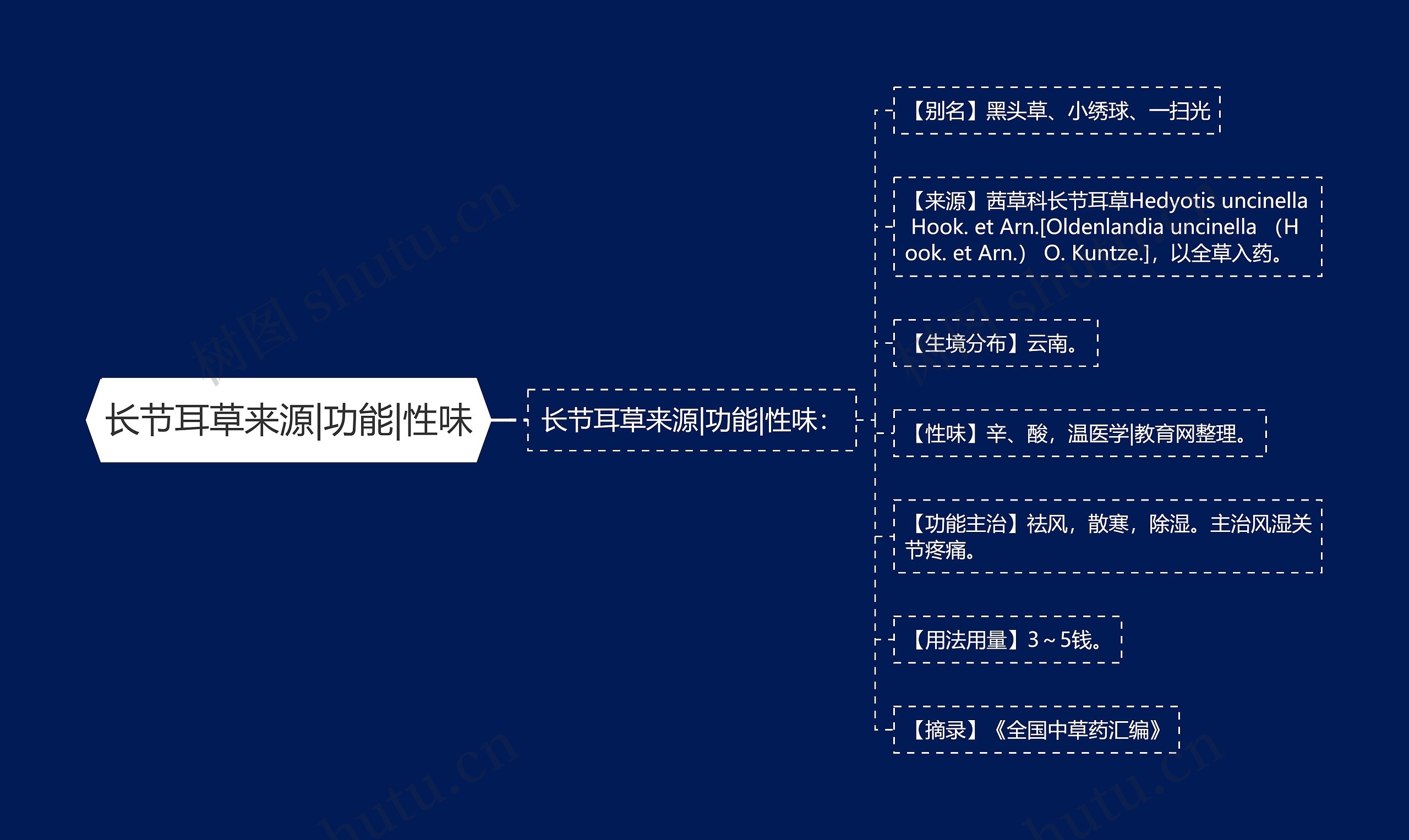 长节耳草来源|功能|性味思维导图