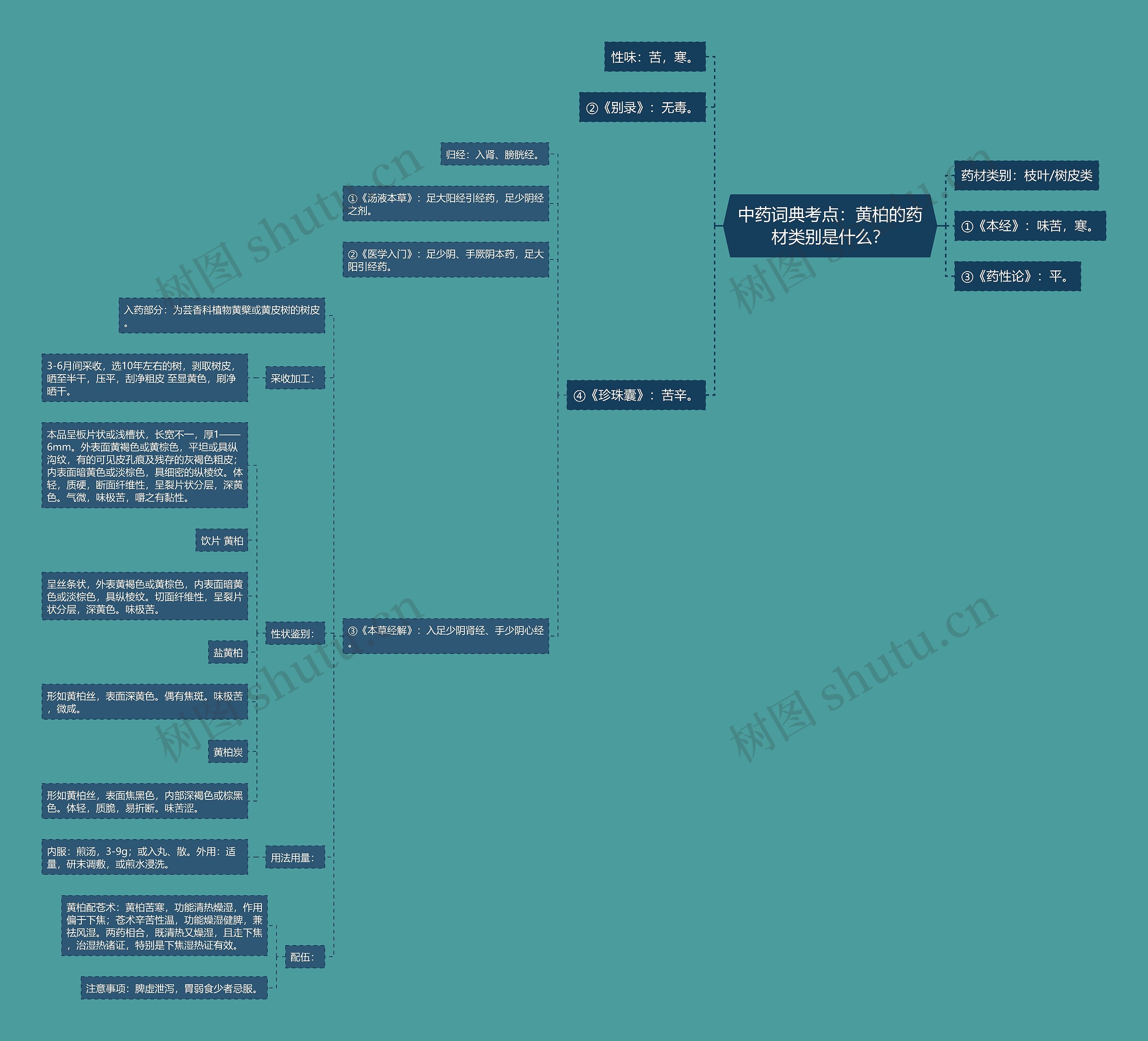 中药词典考点：黄柏的药材类别是什么？思维导图