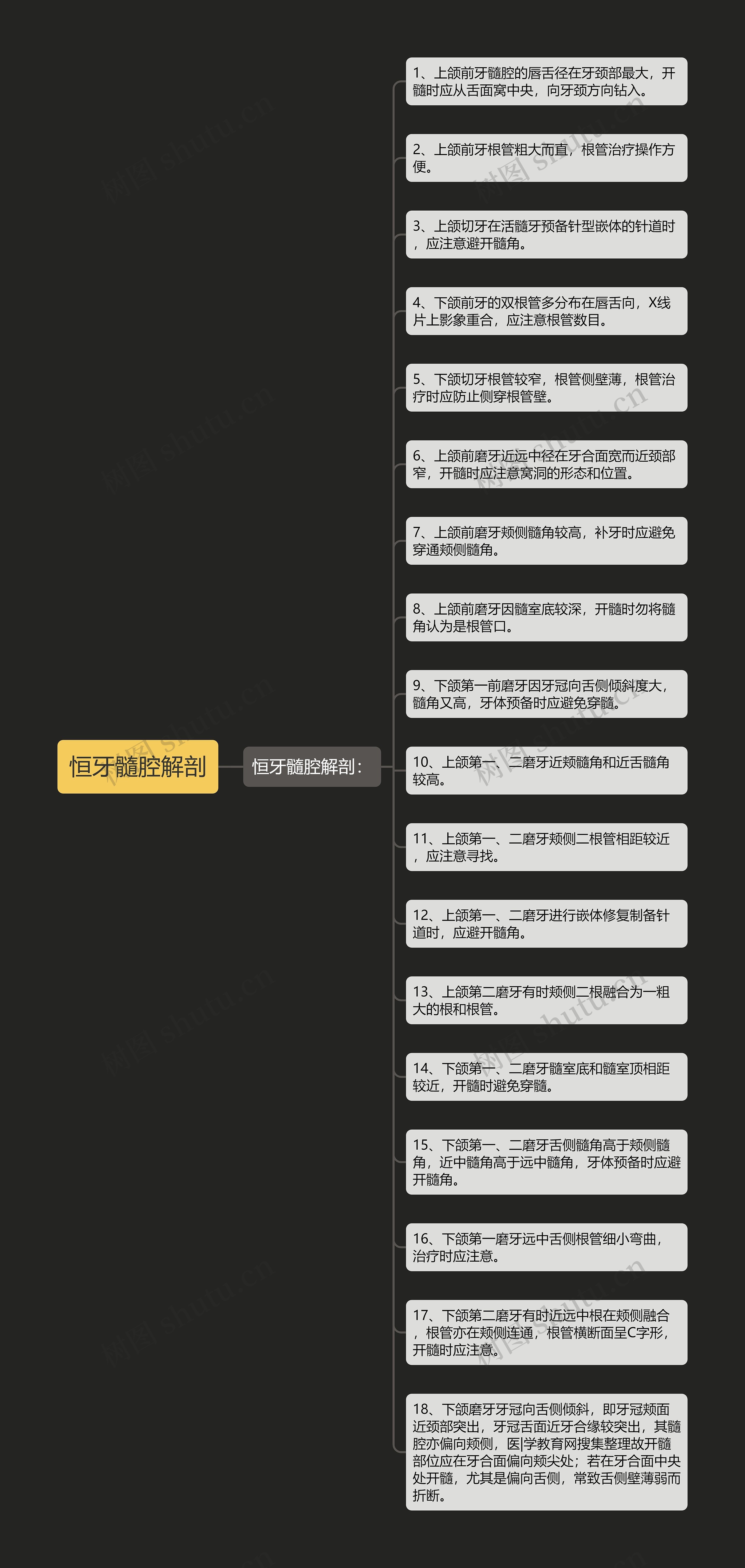 恒牙髓腔解剖