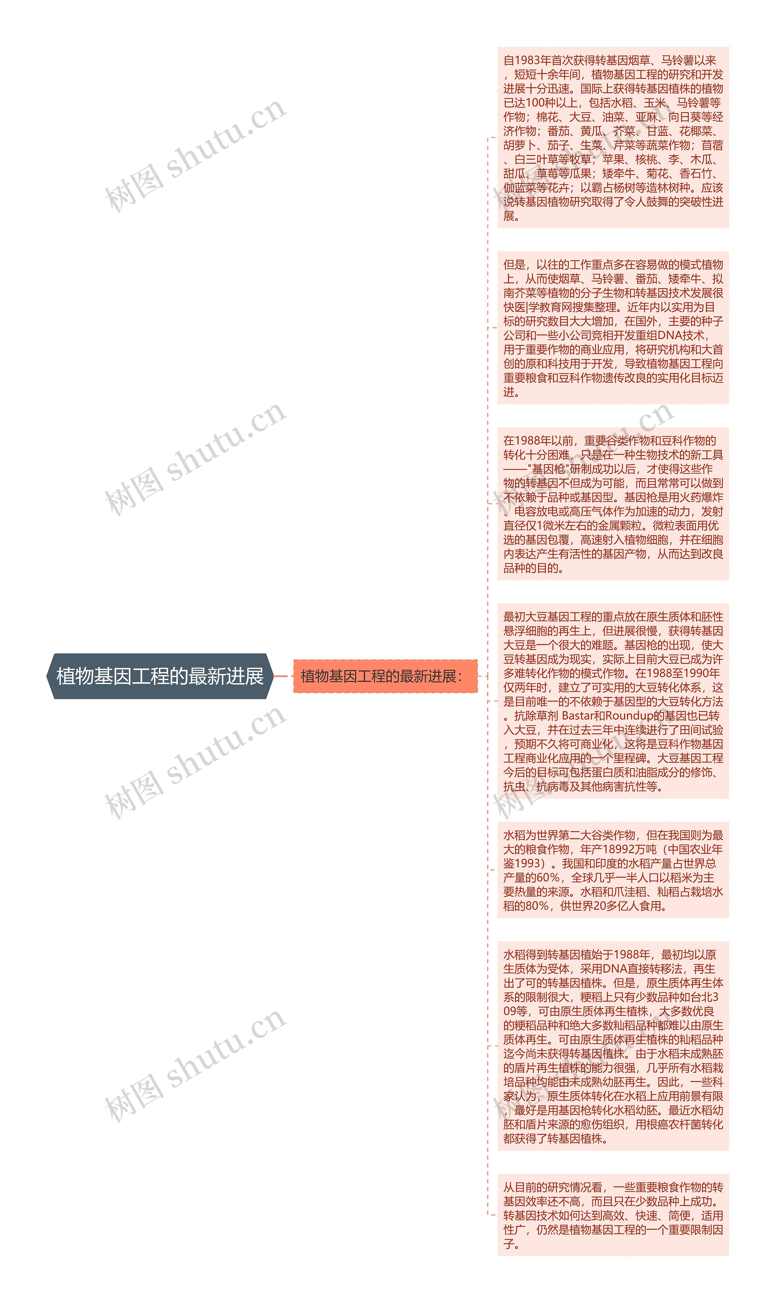 植物基因工程的最新进展思维导图