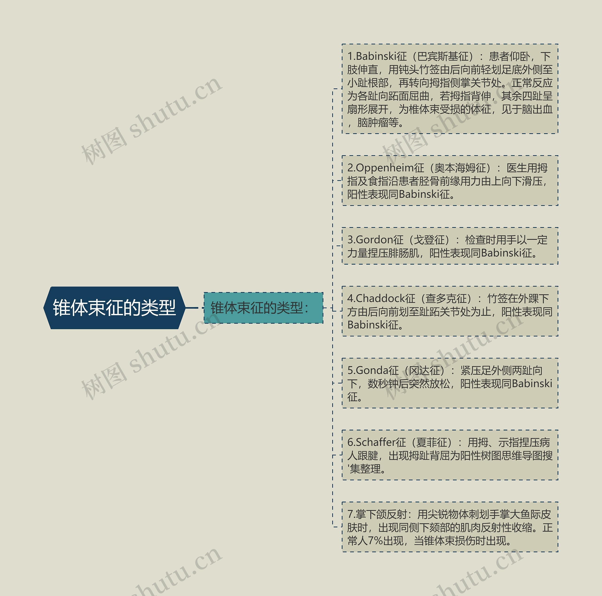 锥体束征的类型思维导图