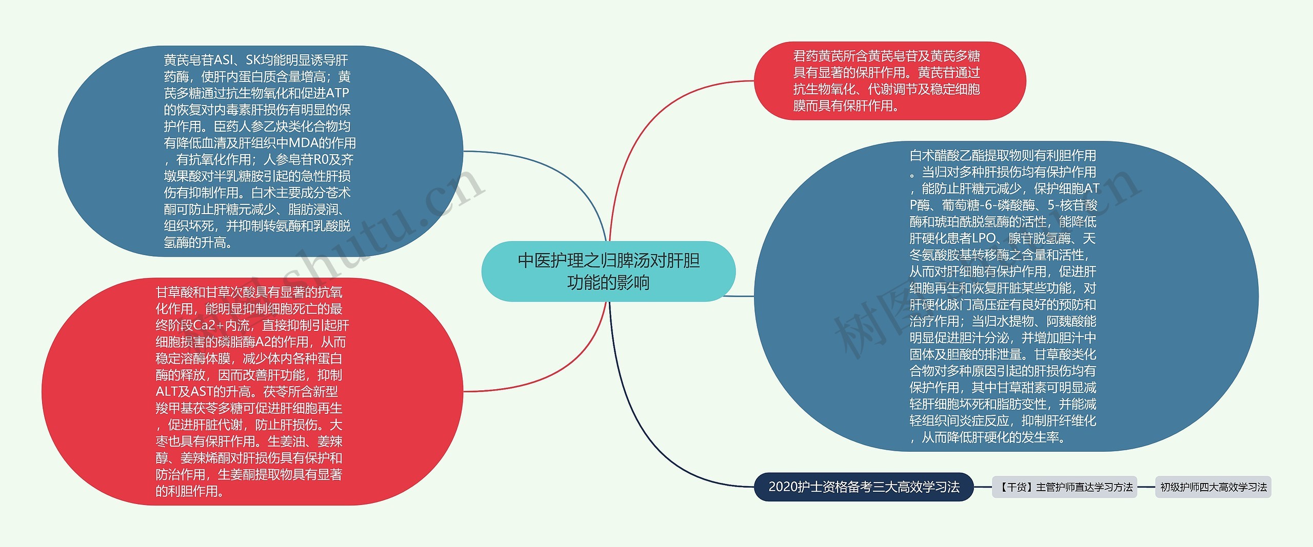 中医护理之归脾汤对肝胆功能的影响思维导图