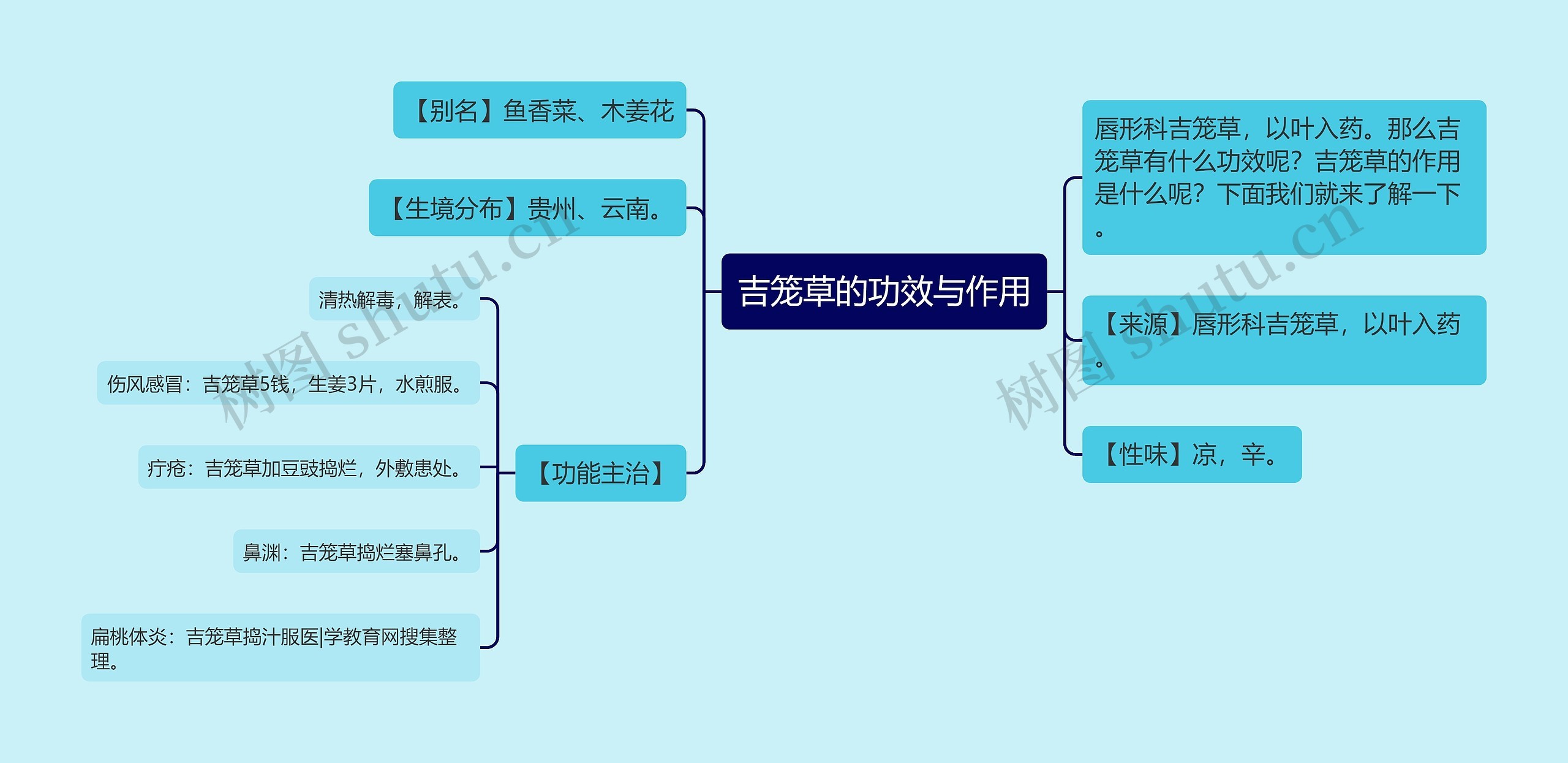 吉笼草的功效与作用思维导图