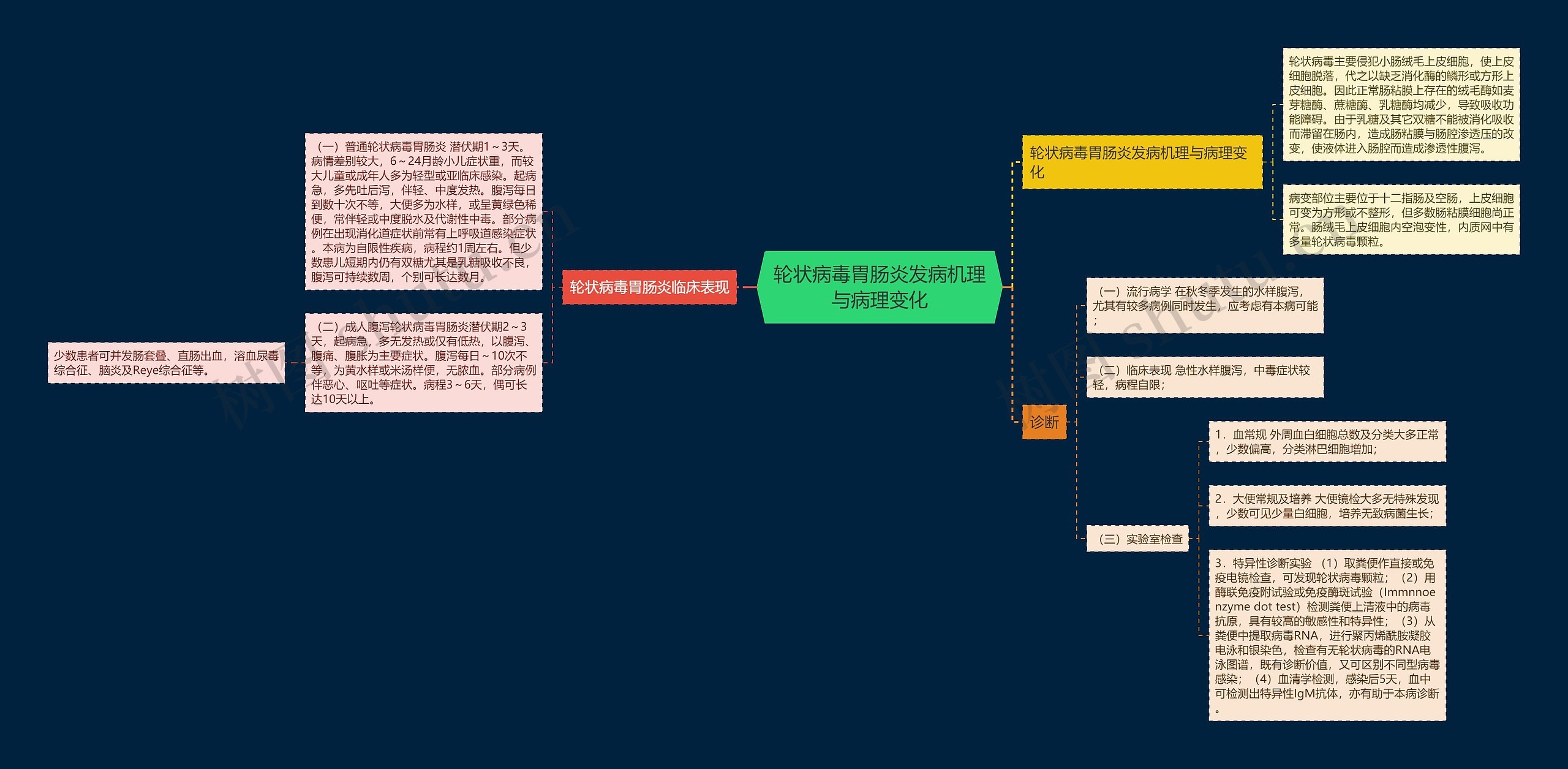 轮状病毒胃肠炎发病机理与病理变化思维导图