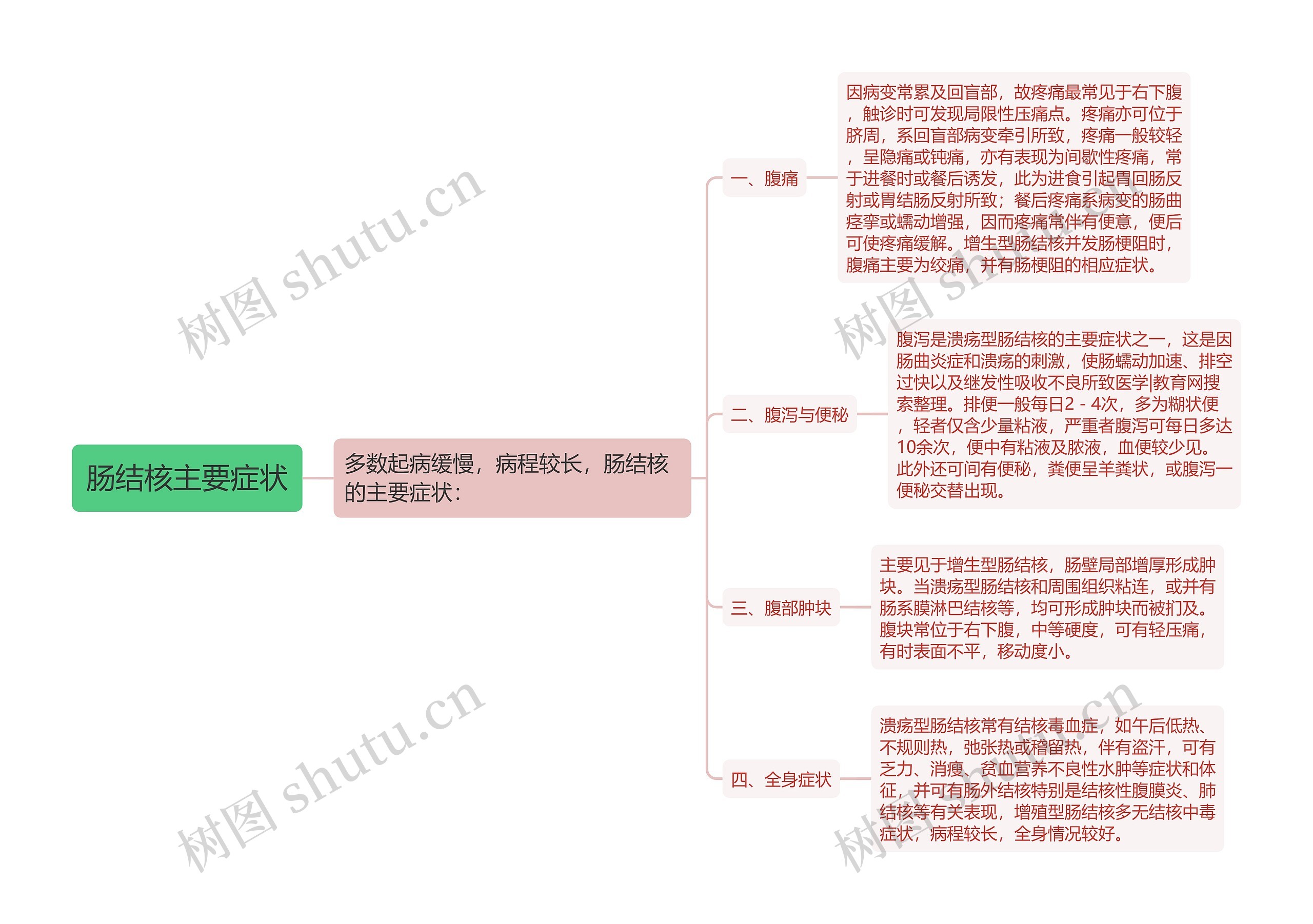 肠结核主要症状思维导图