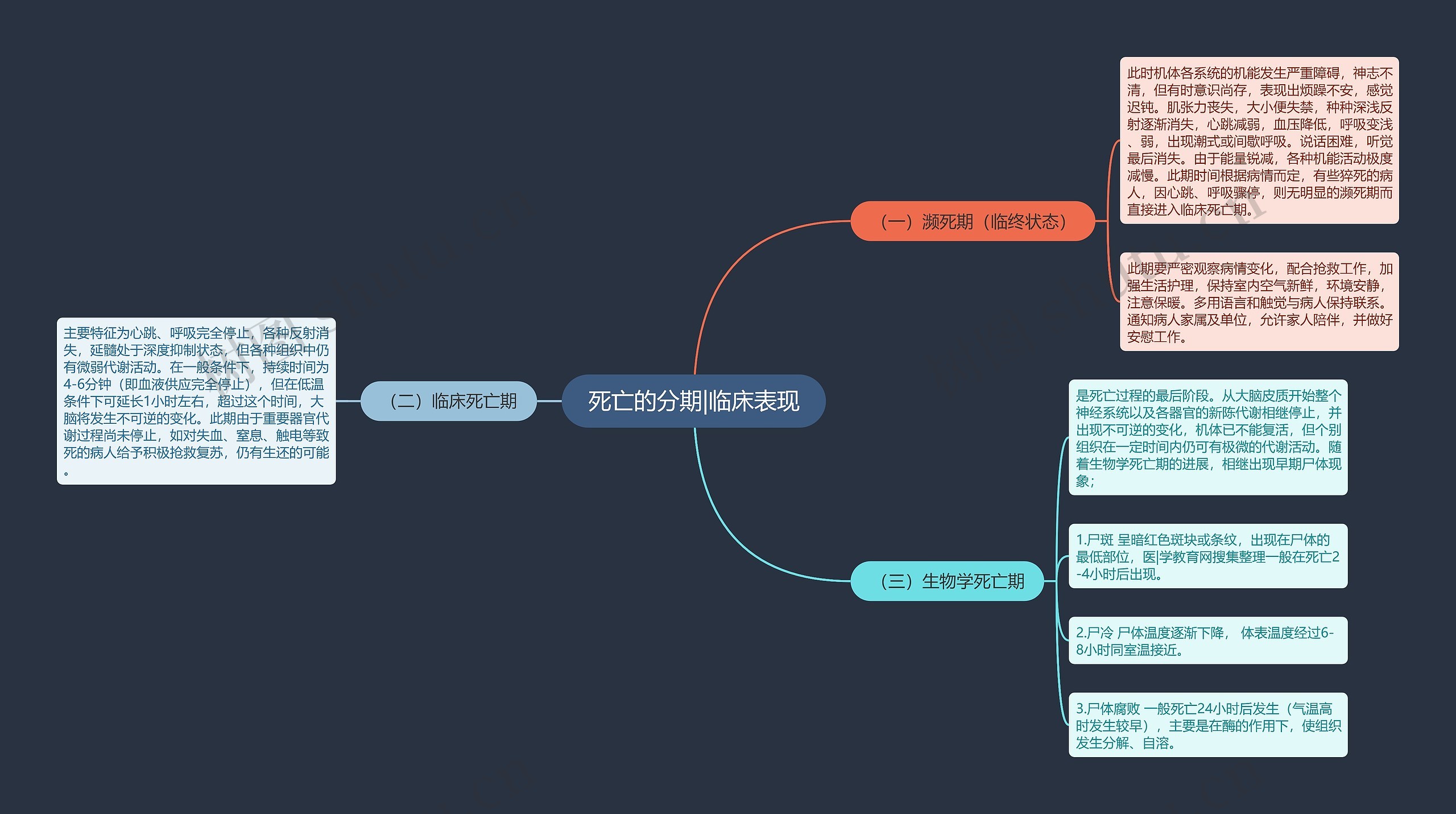 死亡的分期|临床表现思维导图