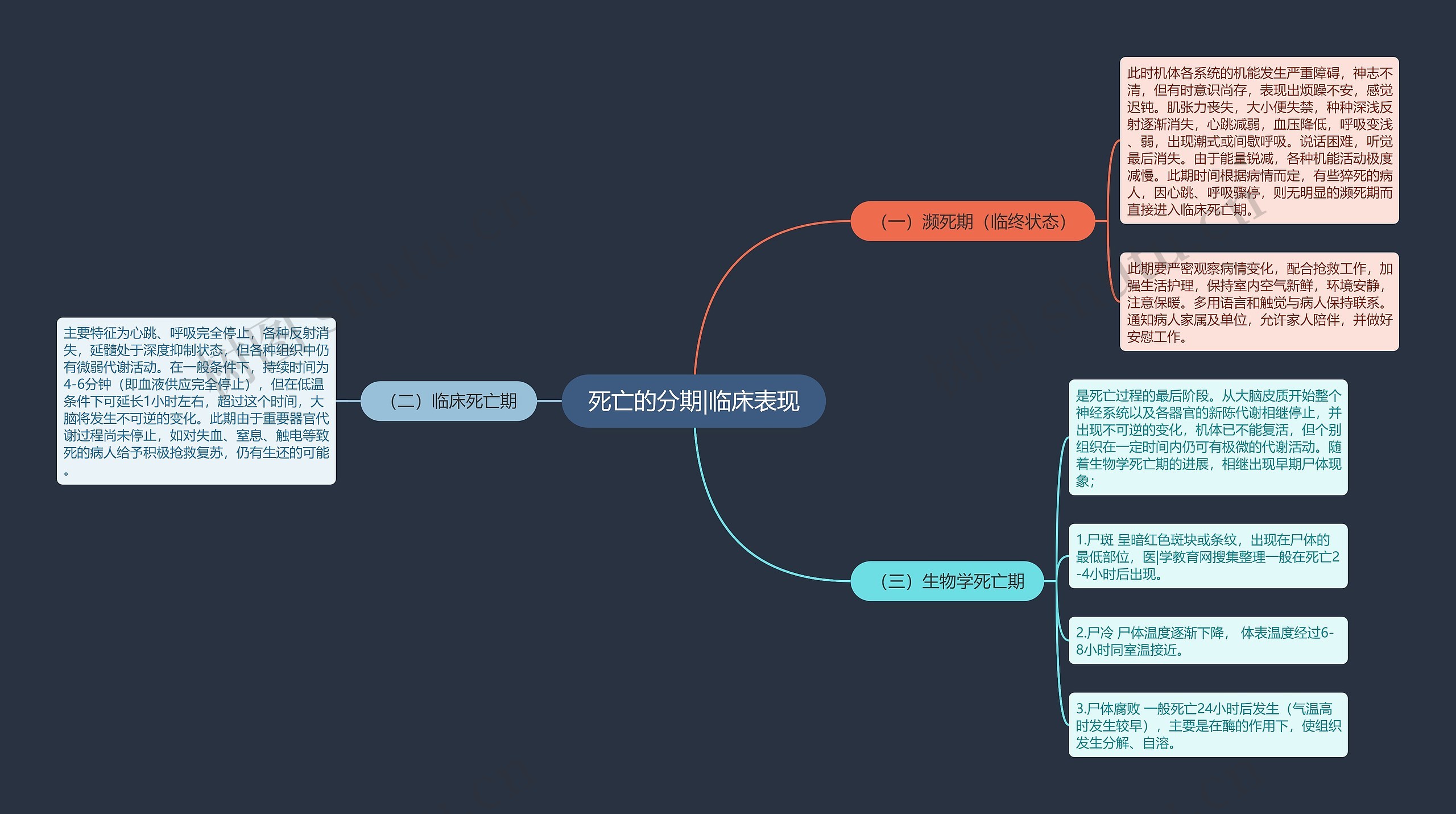 死亡的分期|临床表现 死亡的分期|临床表现