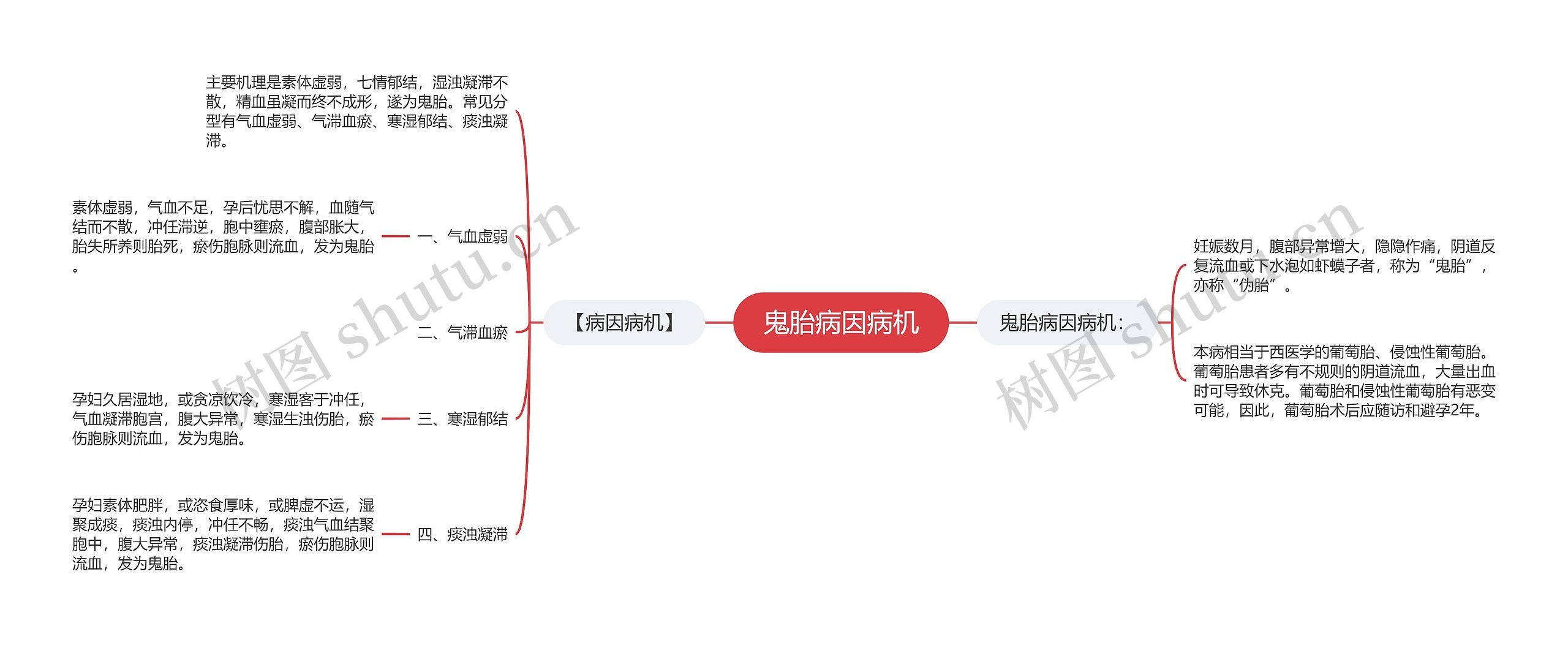 鬼胎病因病机思维导图