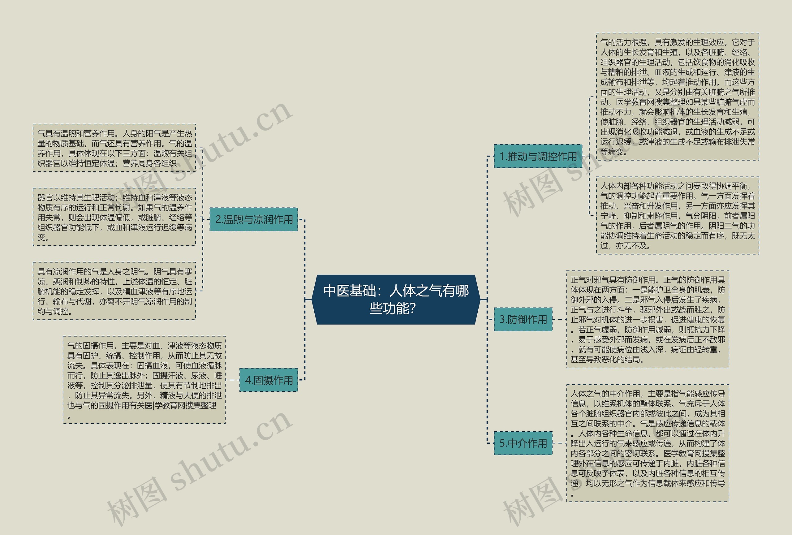 中医基础：人体之气有哪些功能？