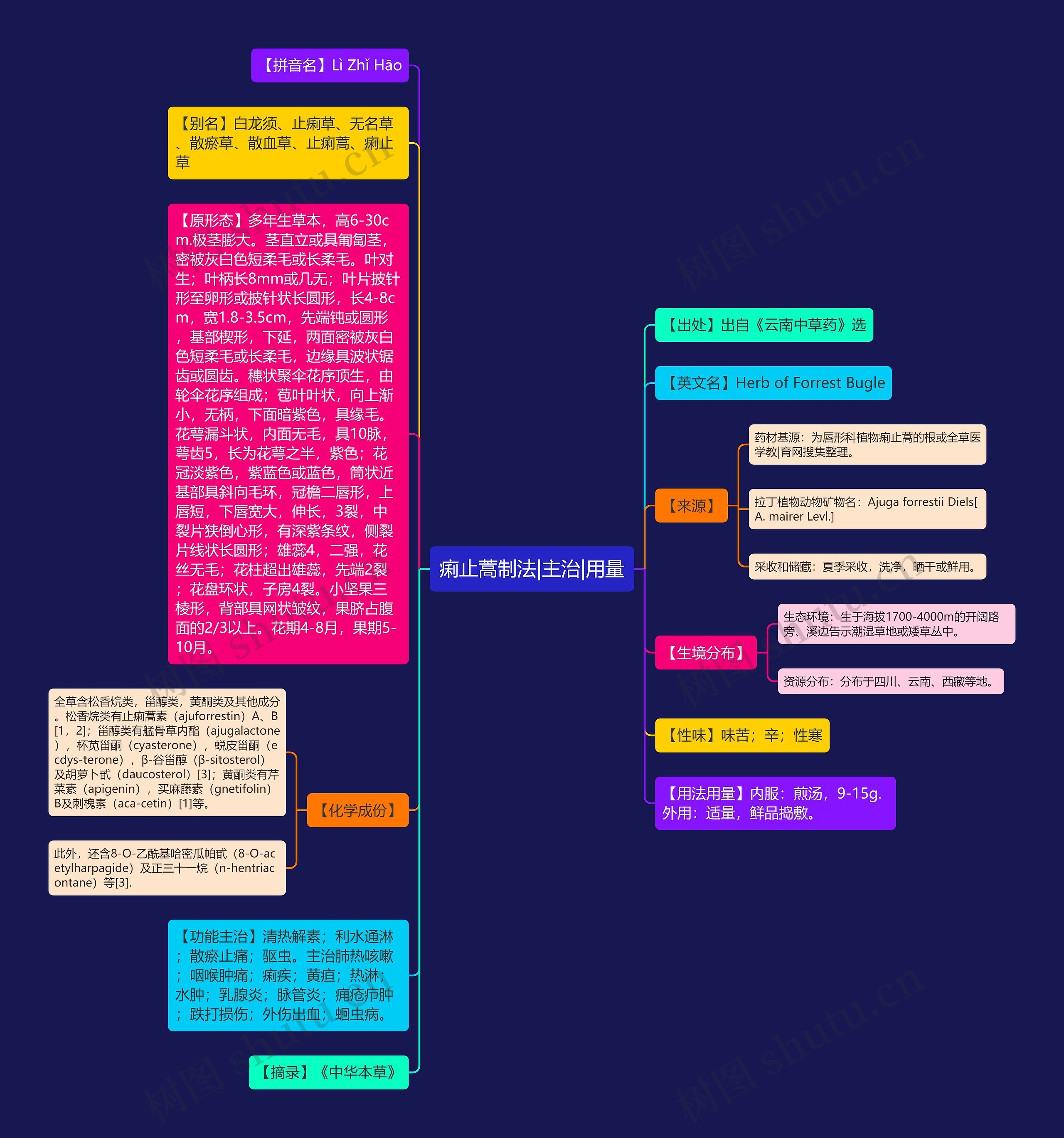 痢止蒿制法|主治|用量思维导图