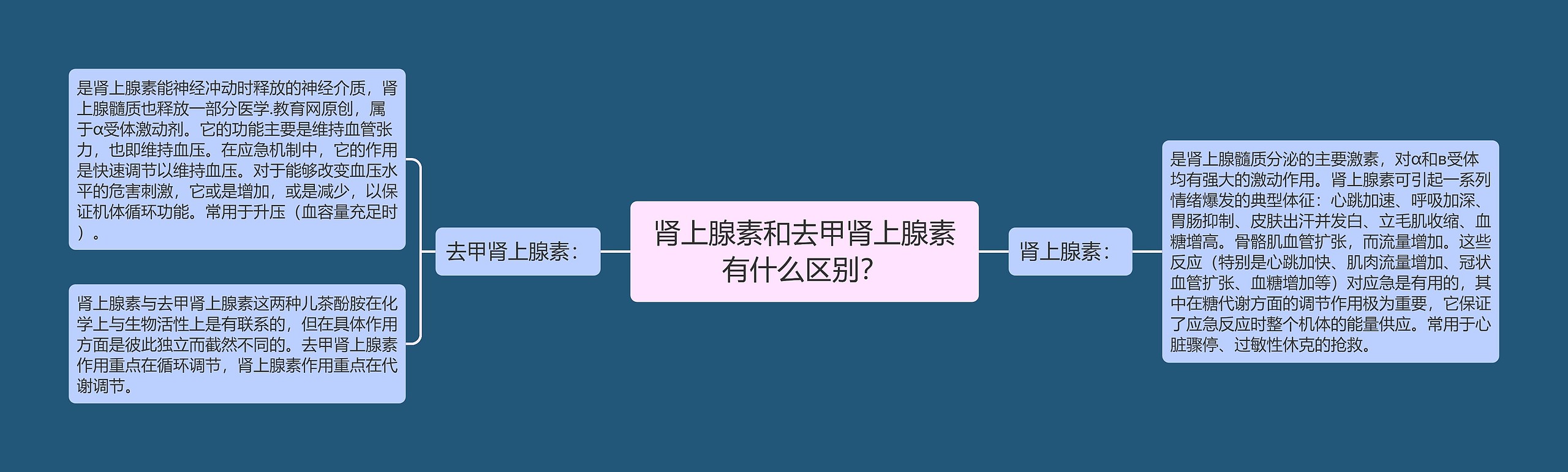 肾上腺素和去甲肾上腺素有什么区别？思维导图