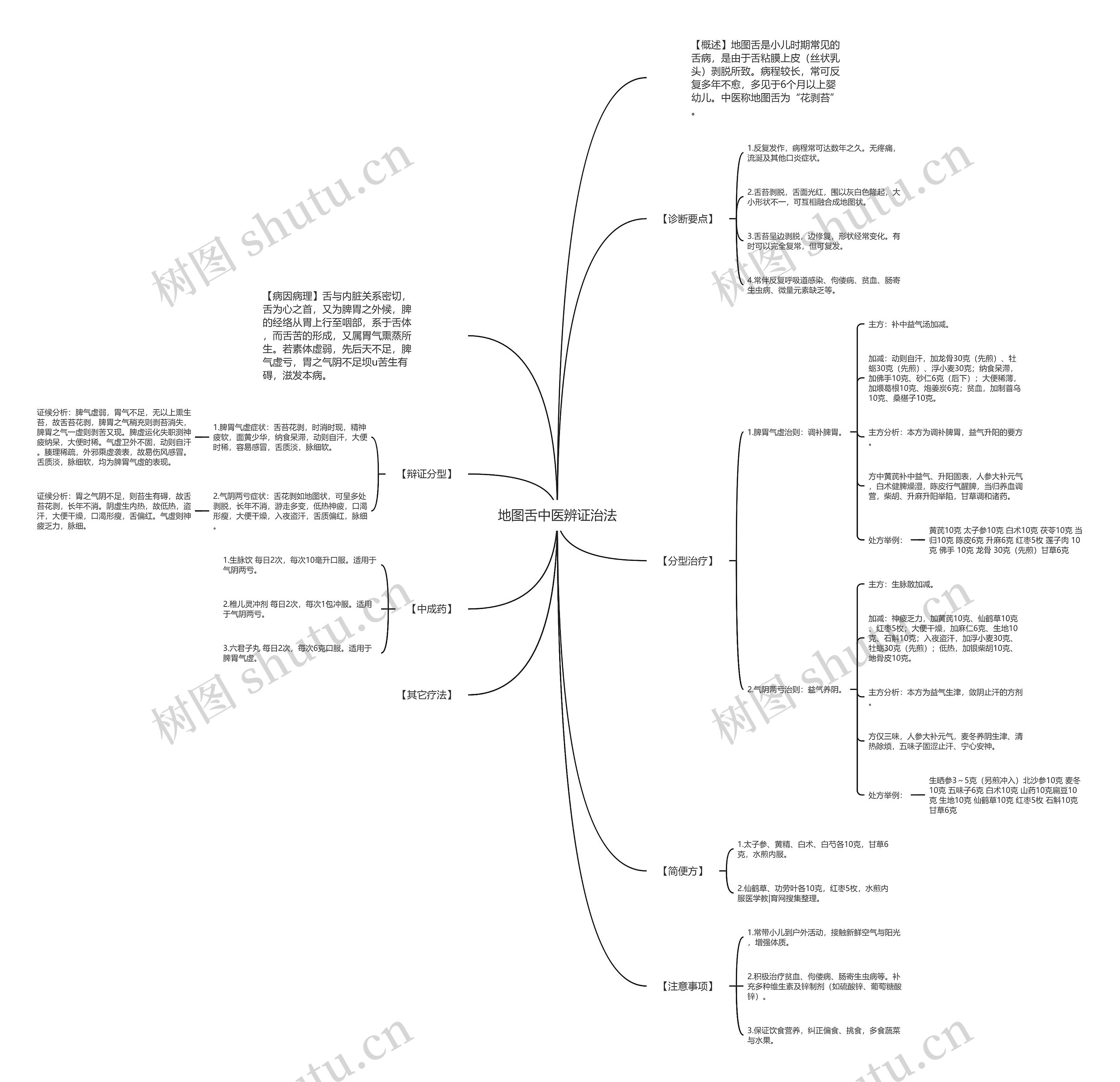 地图舌中医辨证治法思维导图