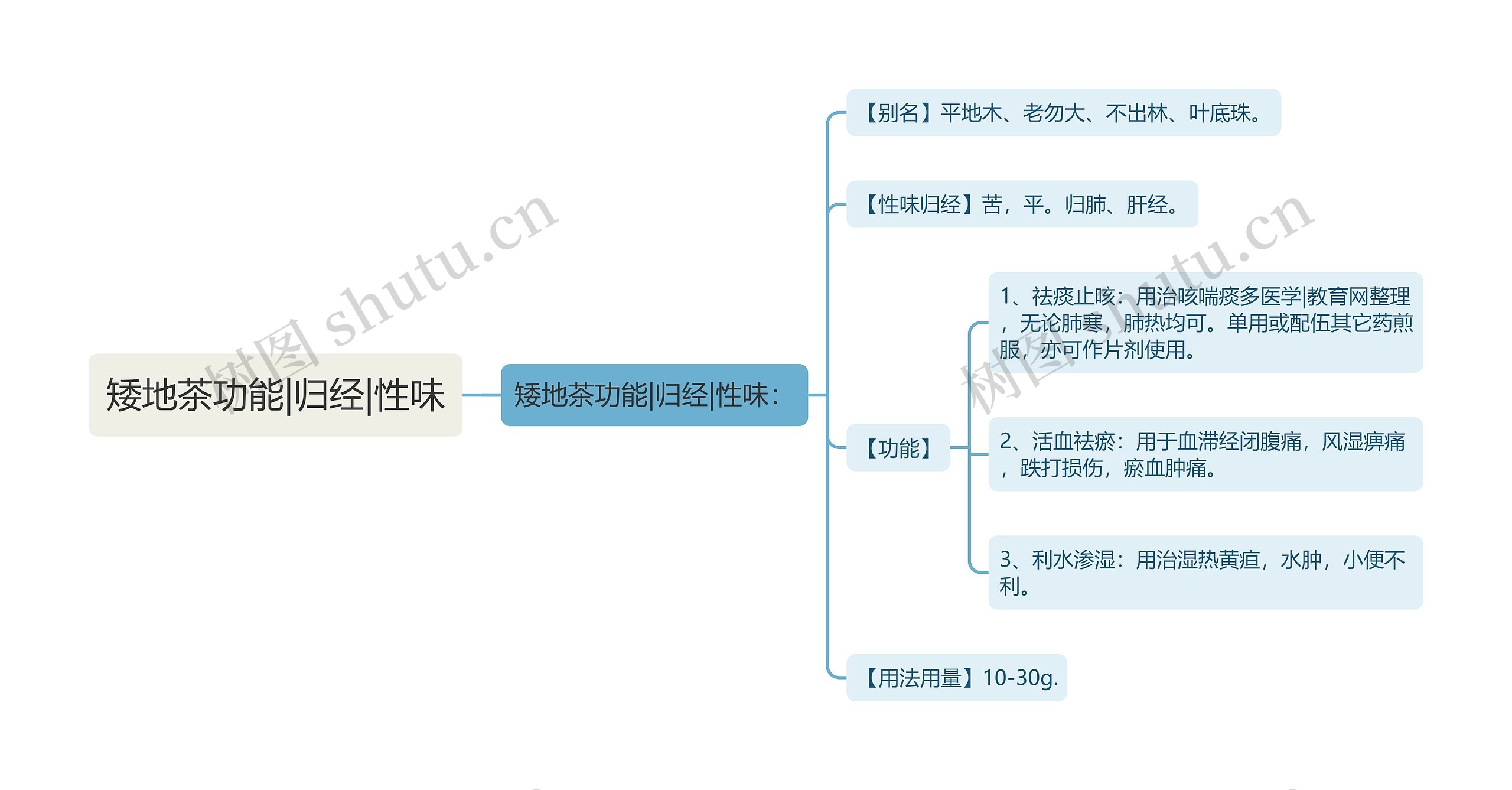 矮地茶功能|归经|性味思维导图