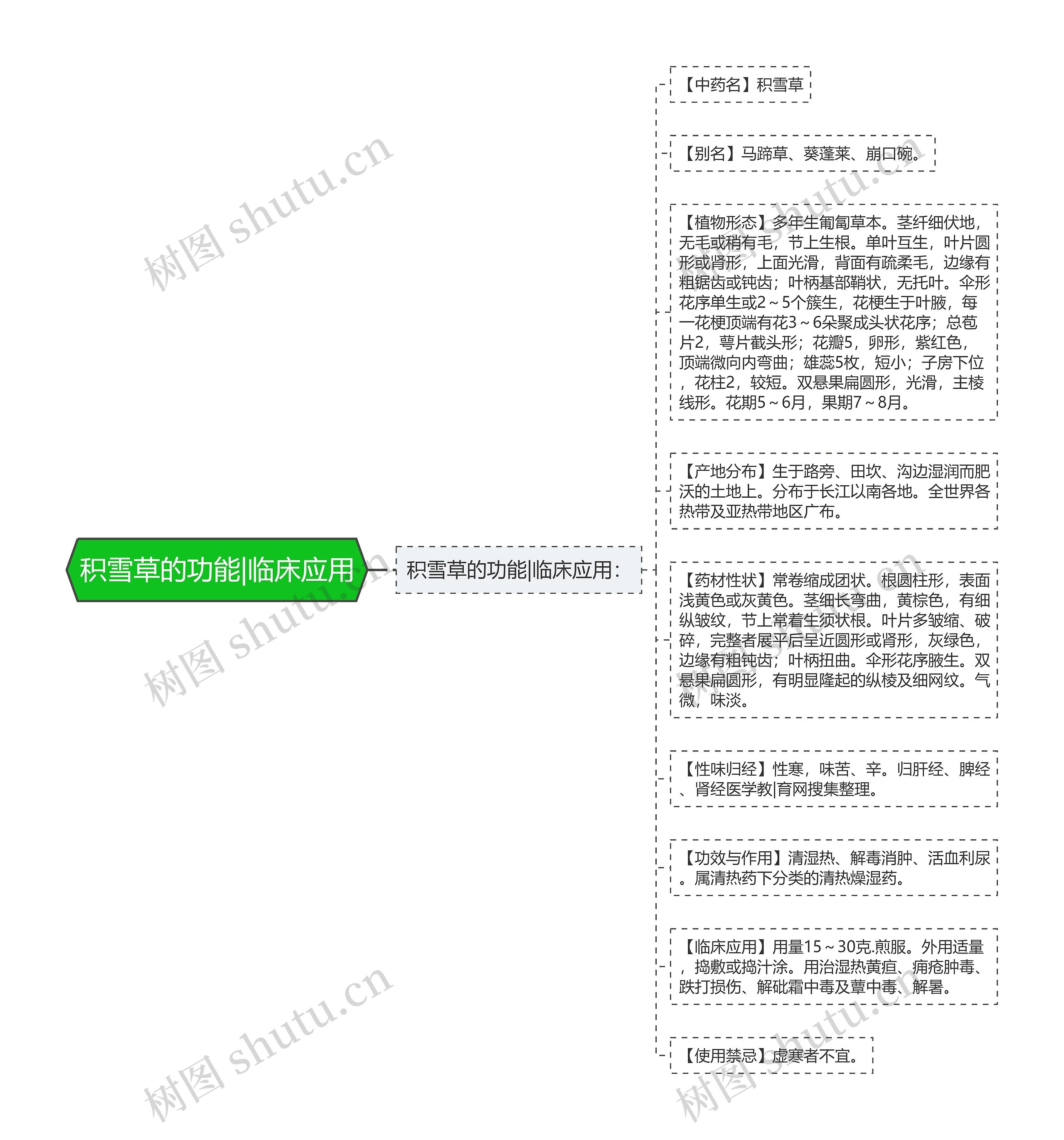 积雪草的功能|临床应用思维导图