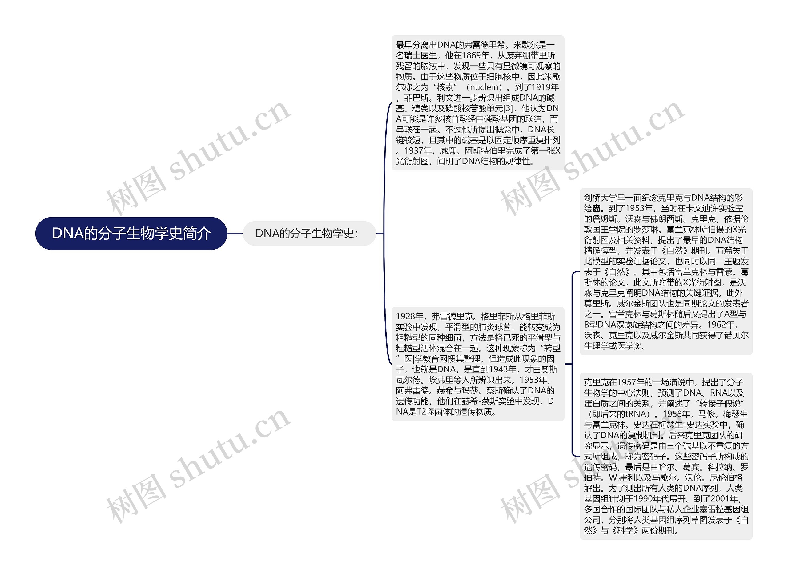 DNA的分子生物学史简介思维导图