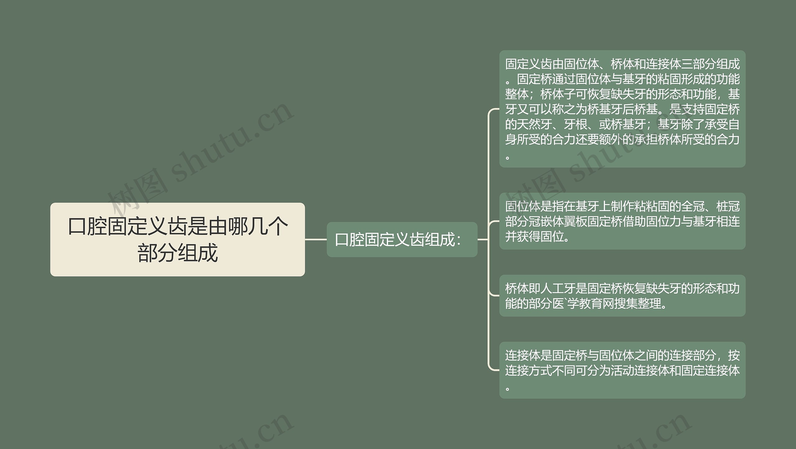 口腔固定义齿是由哪几个部分组成