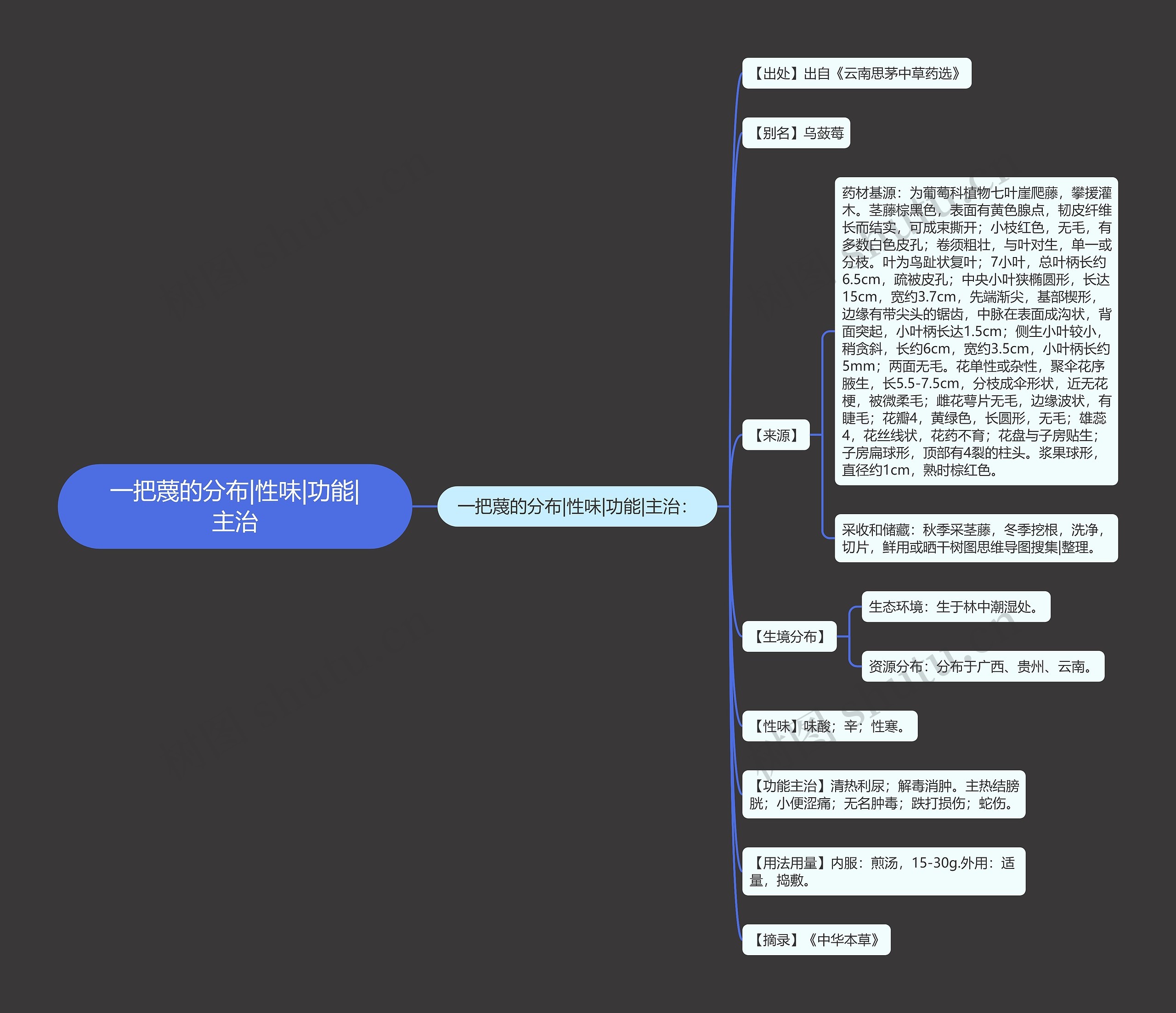 一把蔑的分布|性味|功能|主治思维导图