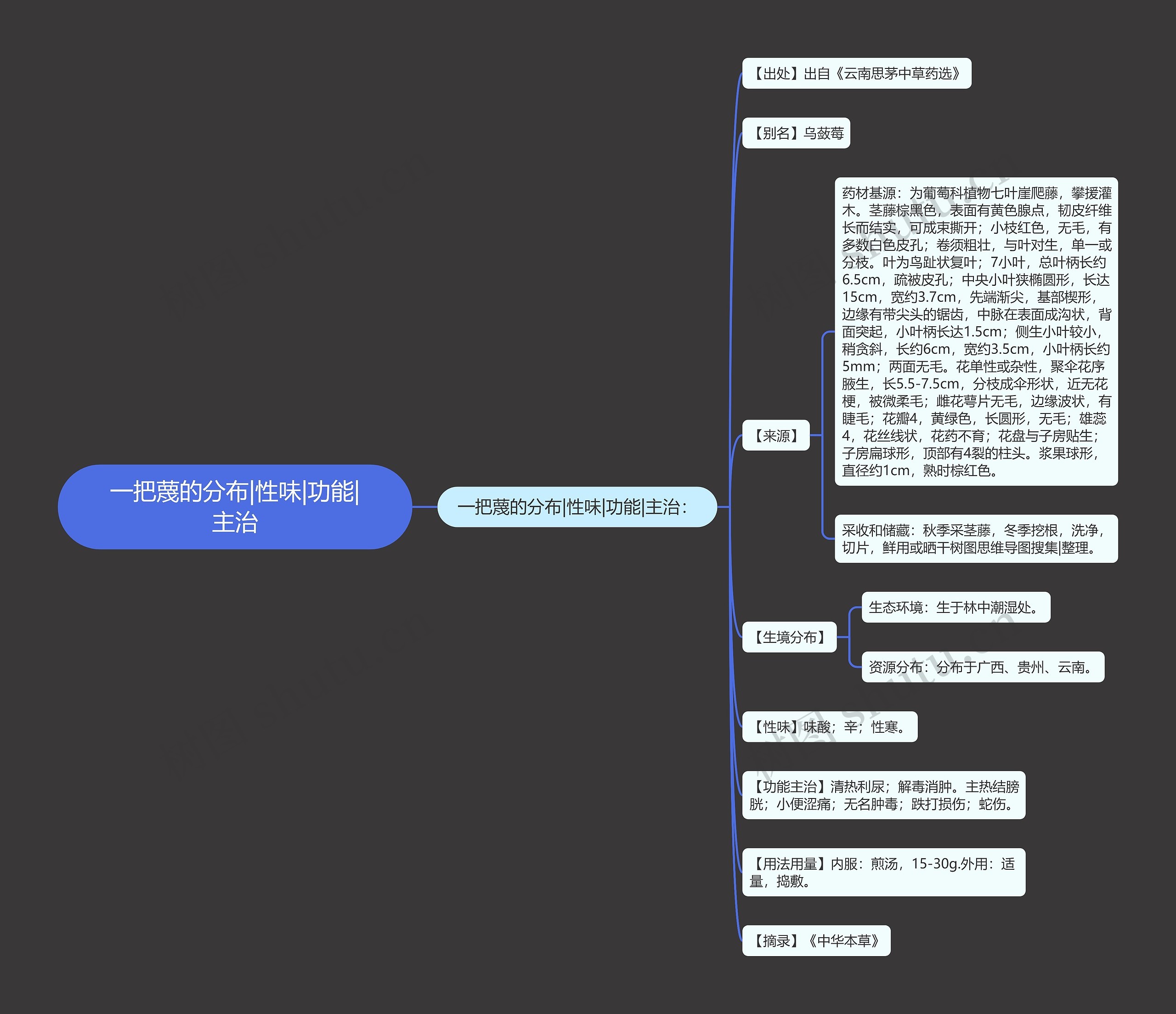 一把蔑的分布|性味|功能|主治 一把蔑的分布|性味|功能|主治