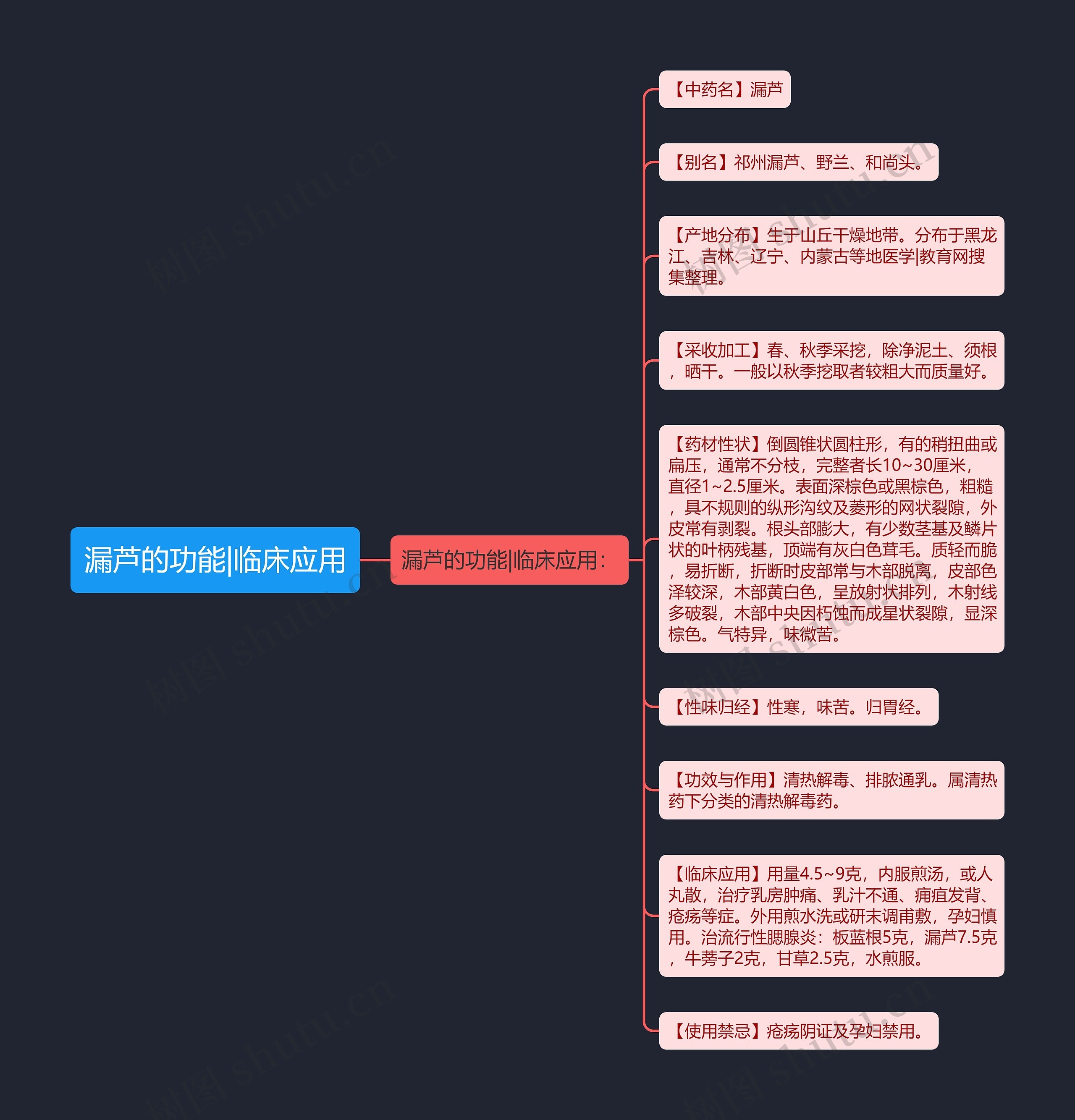 漏芦的功能|临床应用思维导图