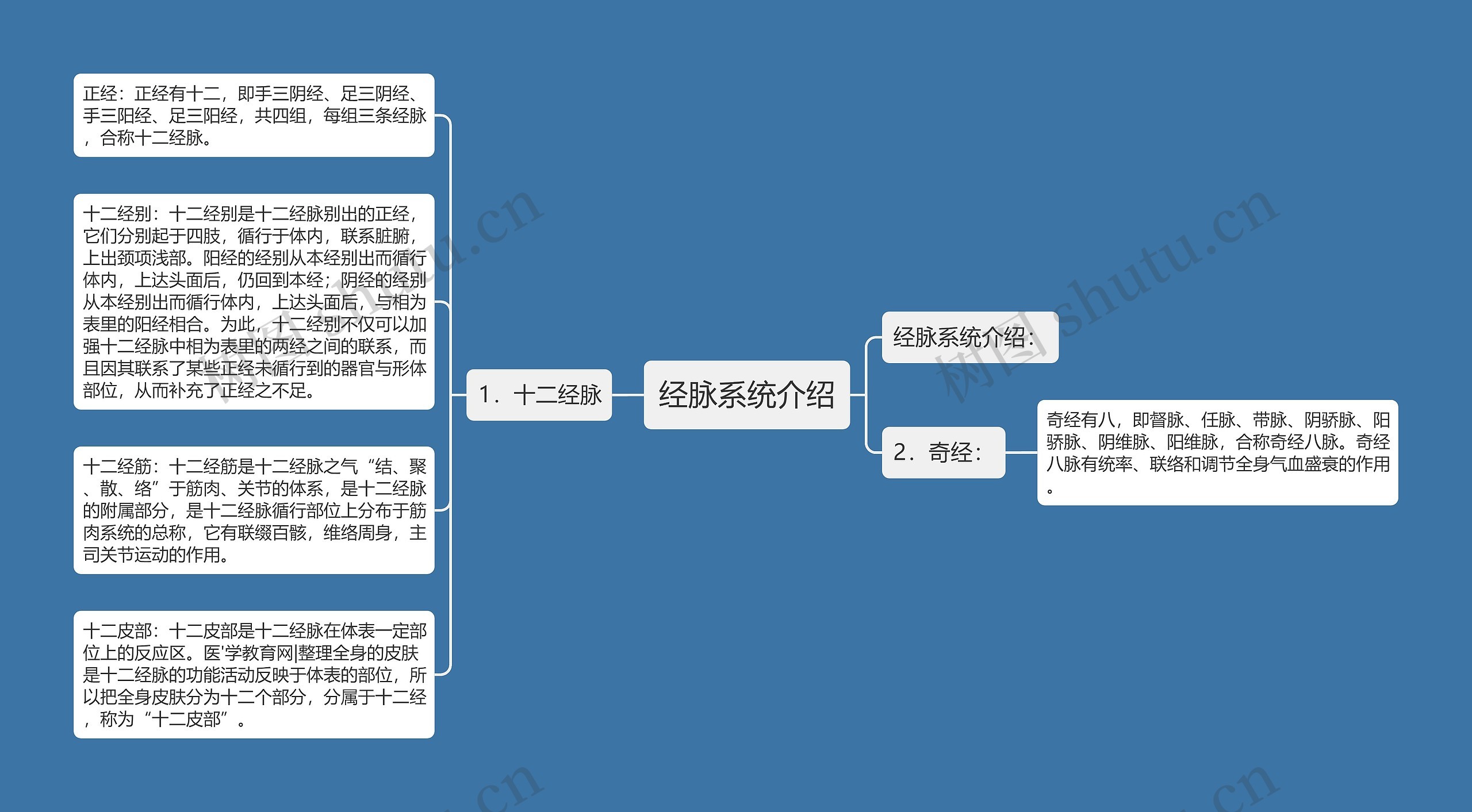 经脉系统介绍思维导图