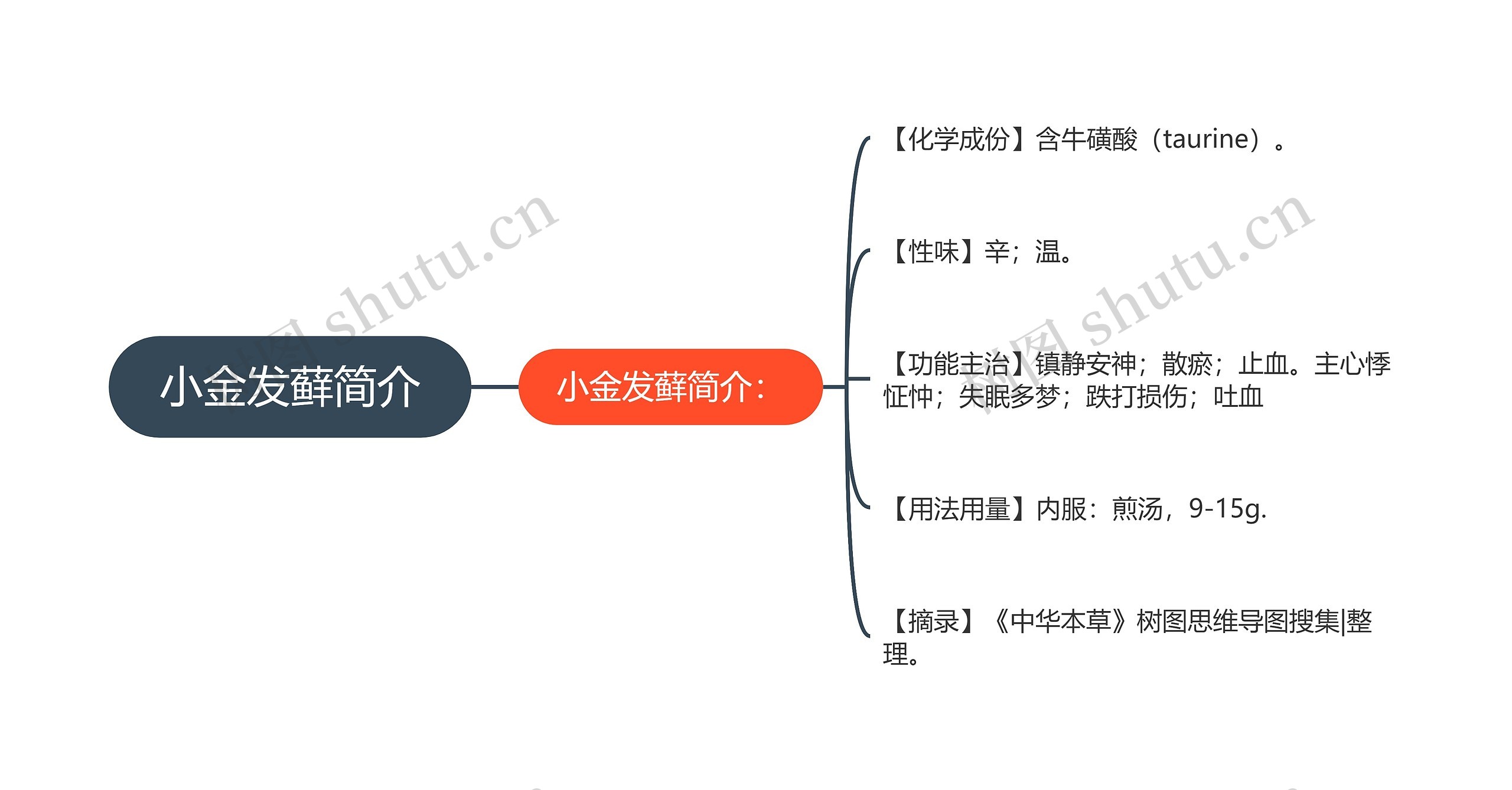 小金发藓简介思维导图