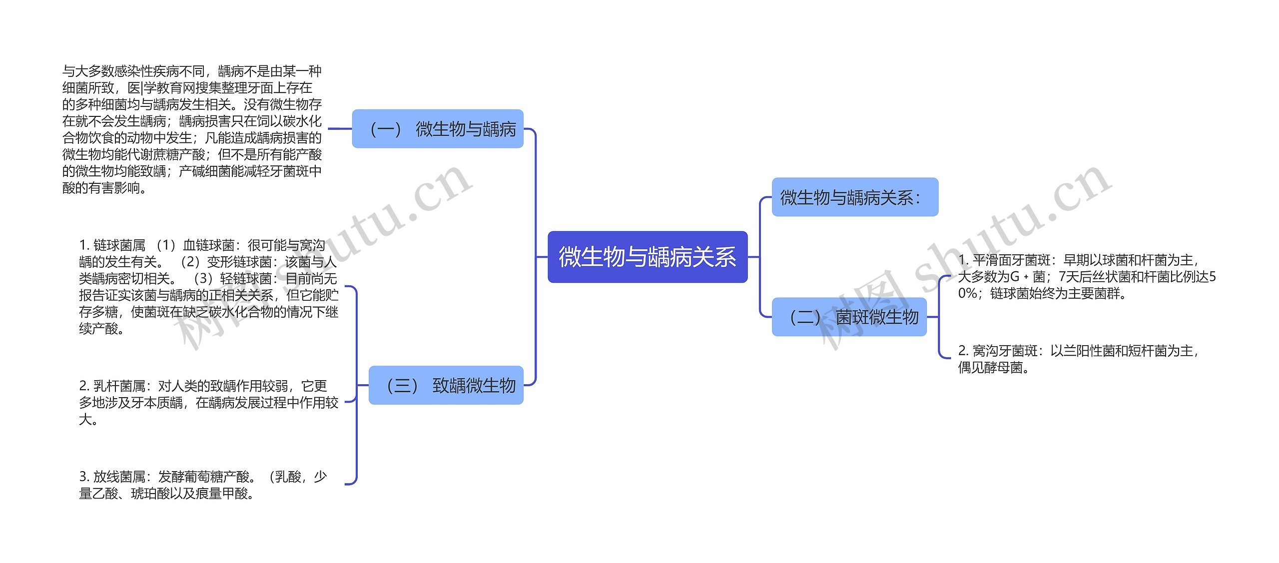微生物与龋病关系