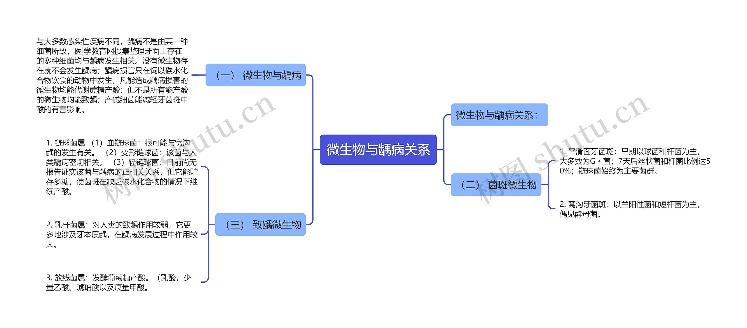 微生物与龋病关系思维导图