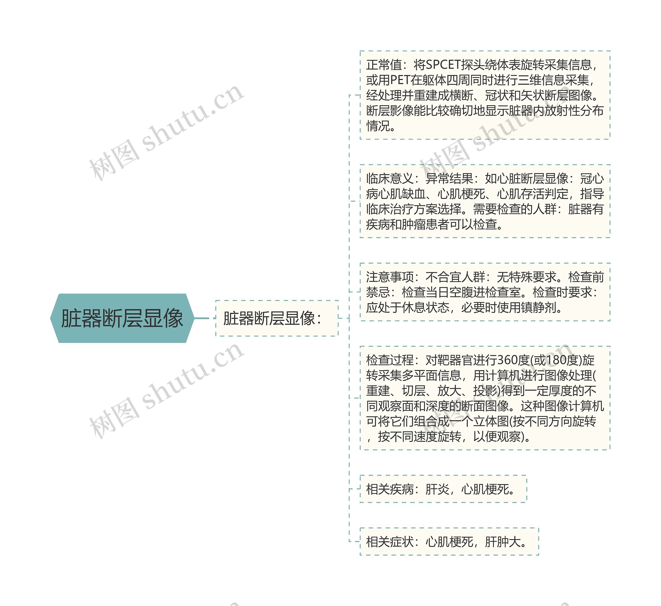 脏器断层显像 脏器断层显像