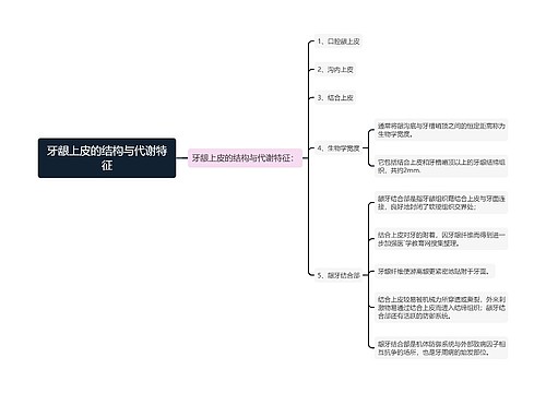 牙龈上皮的结构与代谢特征