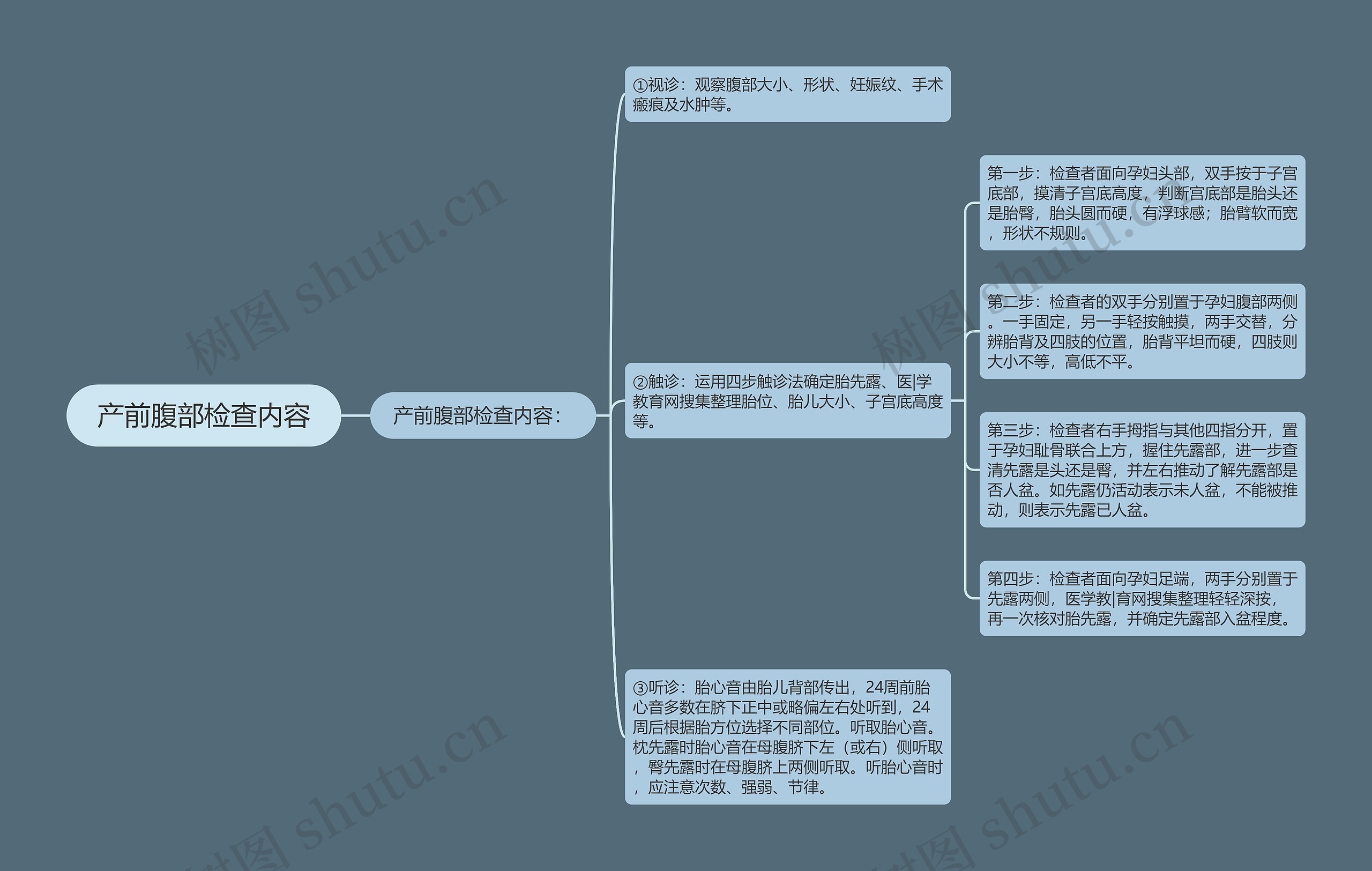 产前腹部检查内容思维导图