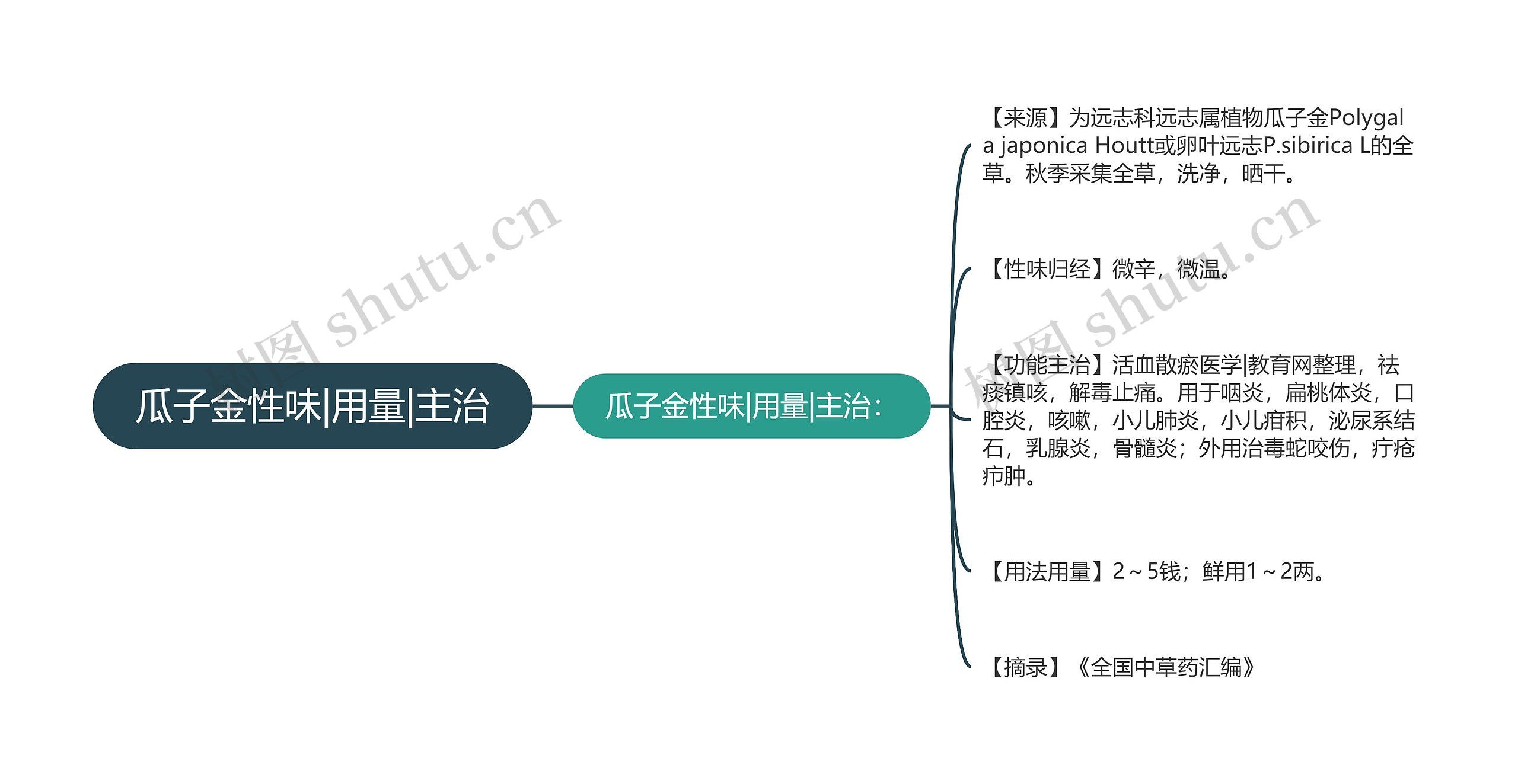 瓜子金性味|用量|主治思维导图