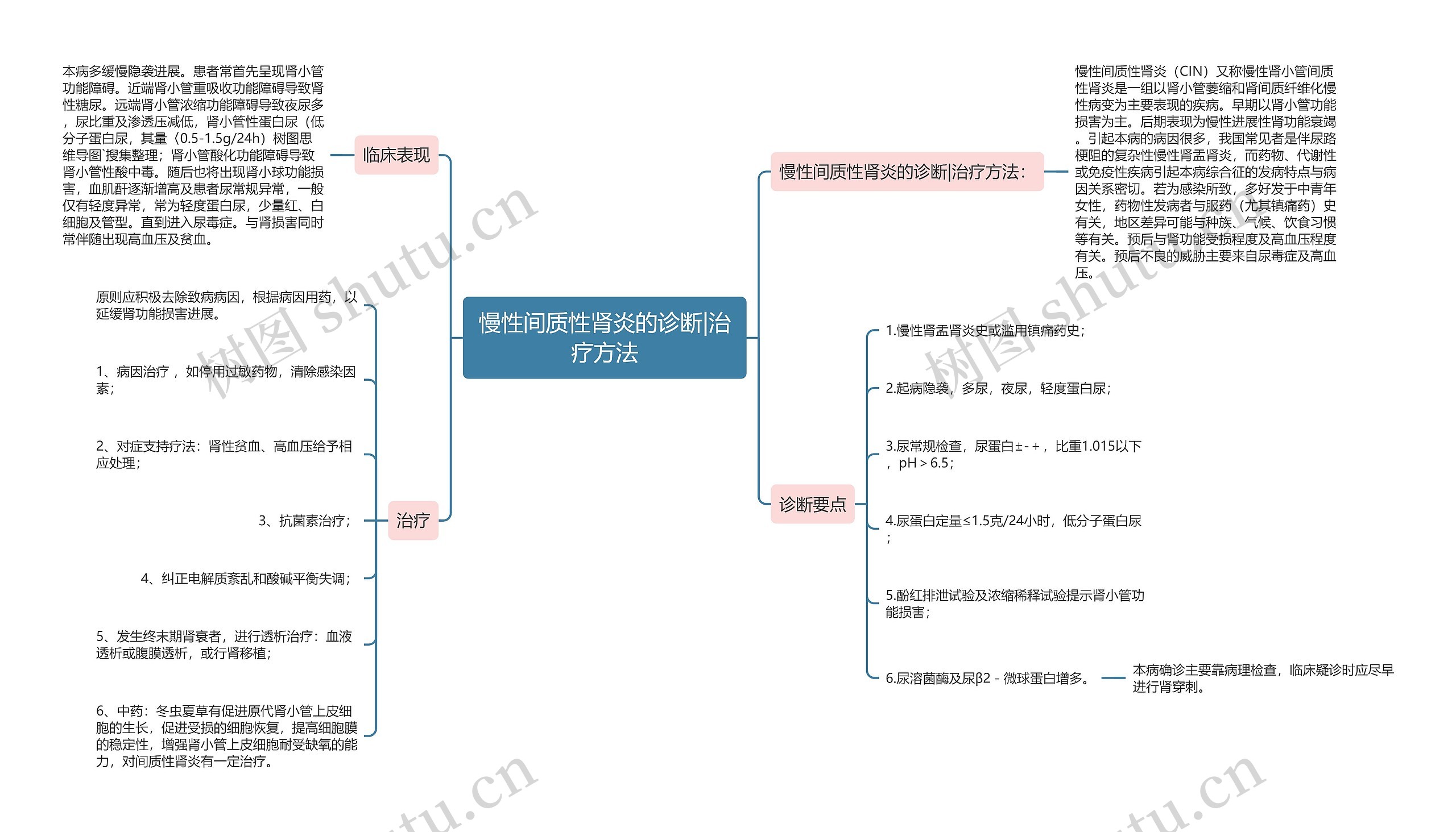 慢性间质性肾炎的诊断|治疗方法思维导图