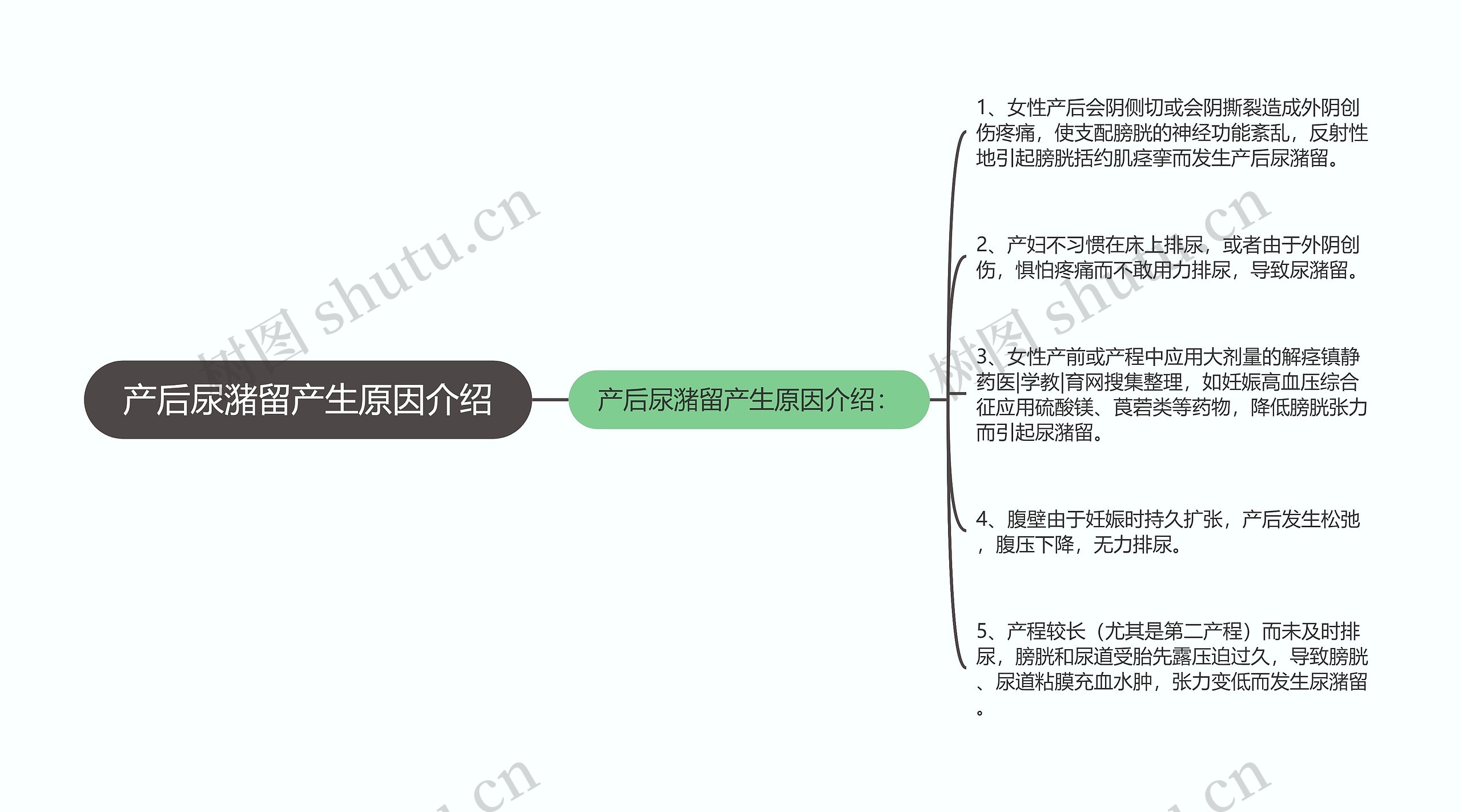 产后尿潴留产生原因介绍思维导图