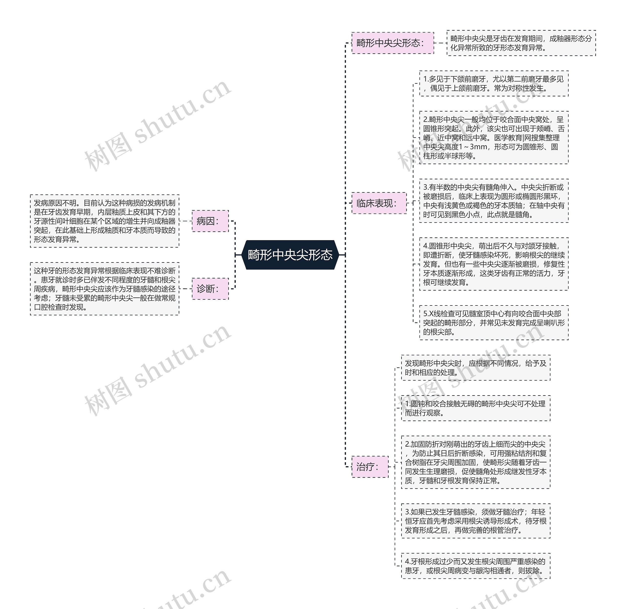 畸形中央尖形态 畸形中央尖形态