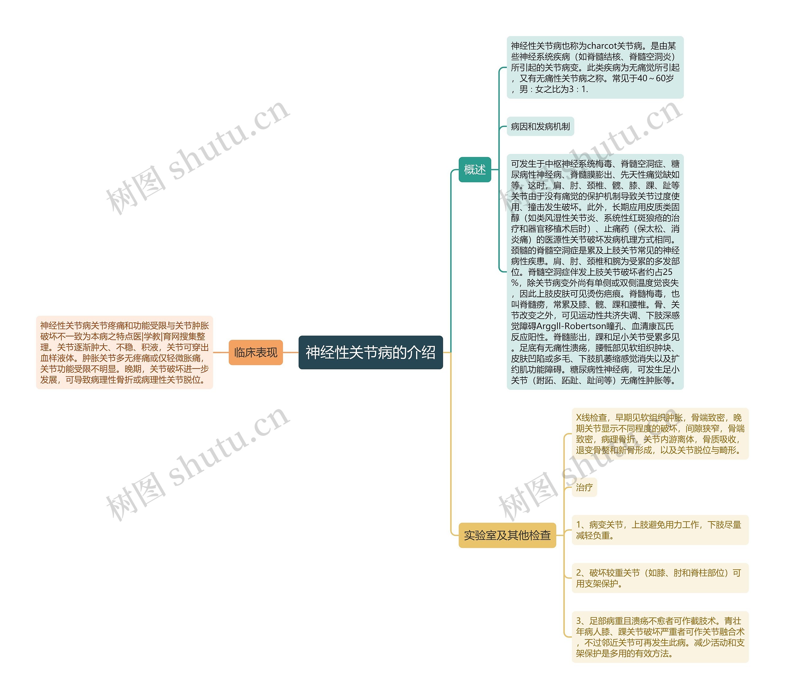神经性关节病的介绍 神经性关节病的介绍