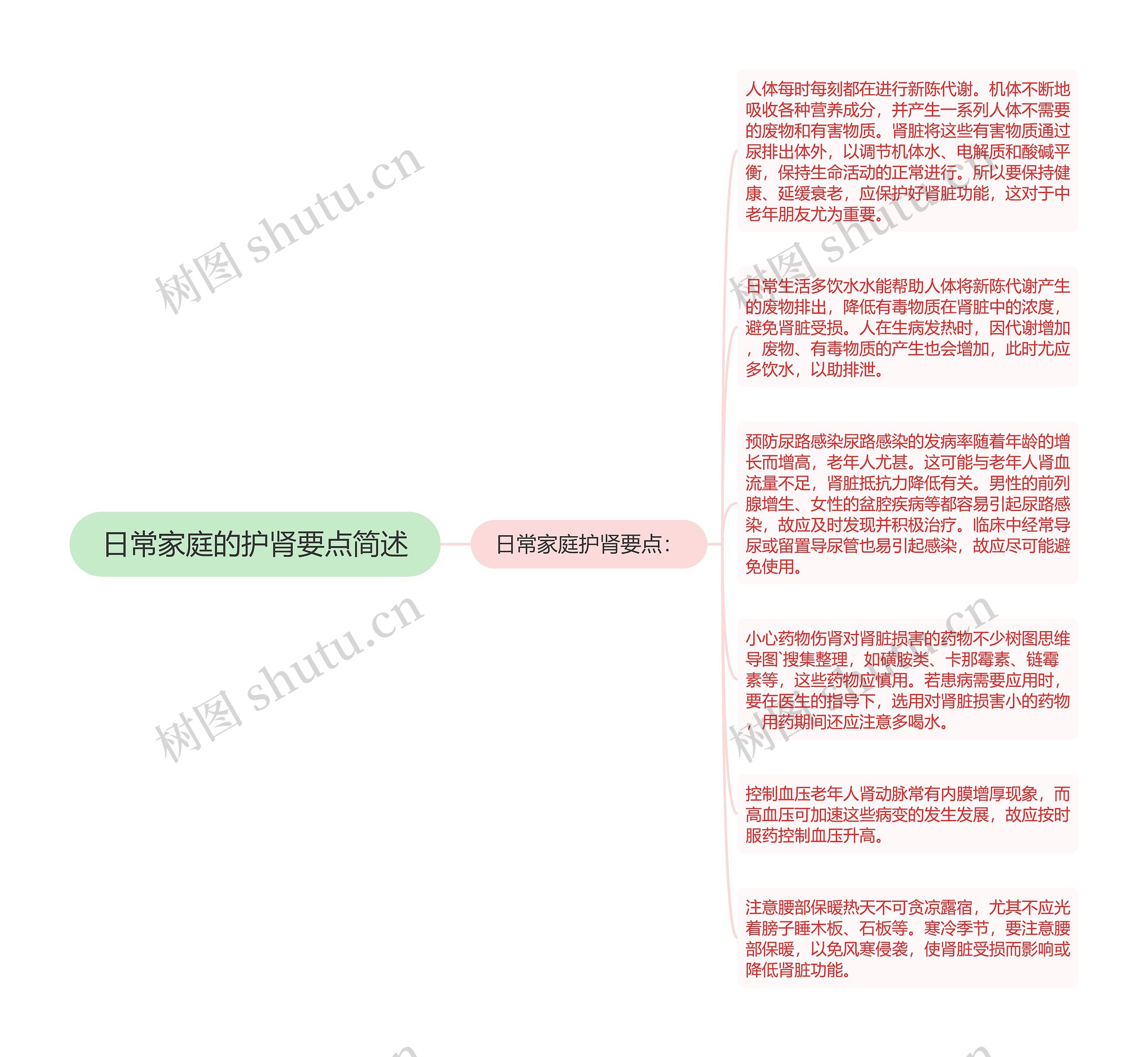 日常家庭的护肾要点简述思维导图