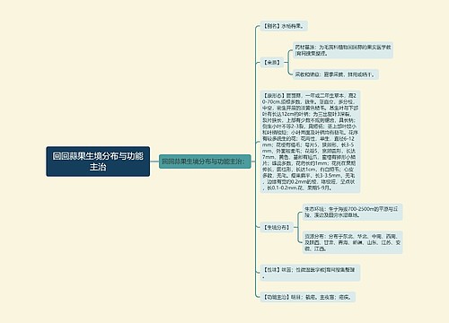 回回蒜果生境分布与功能主治