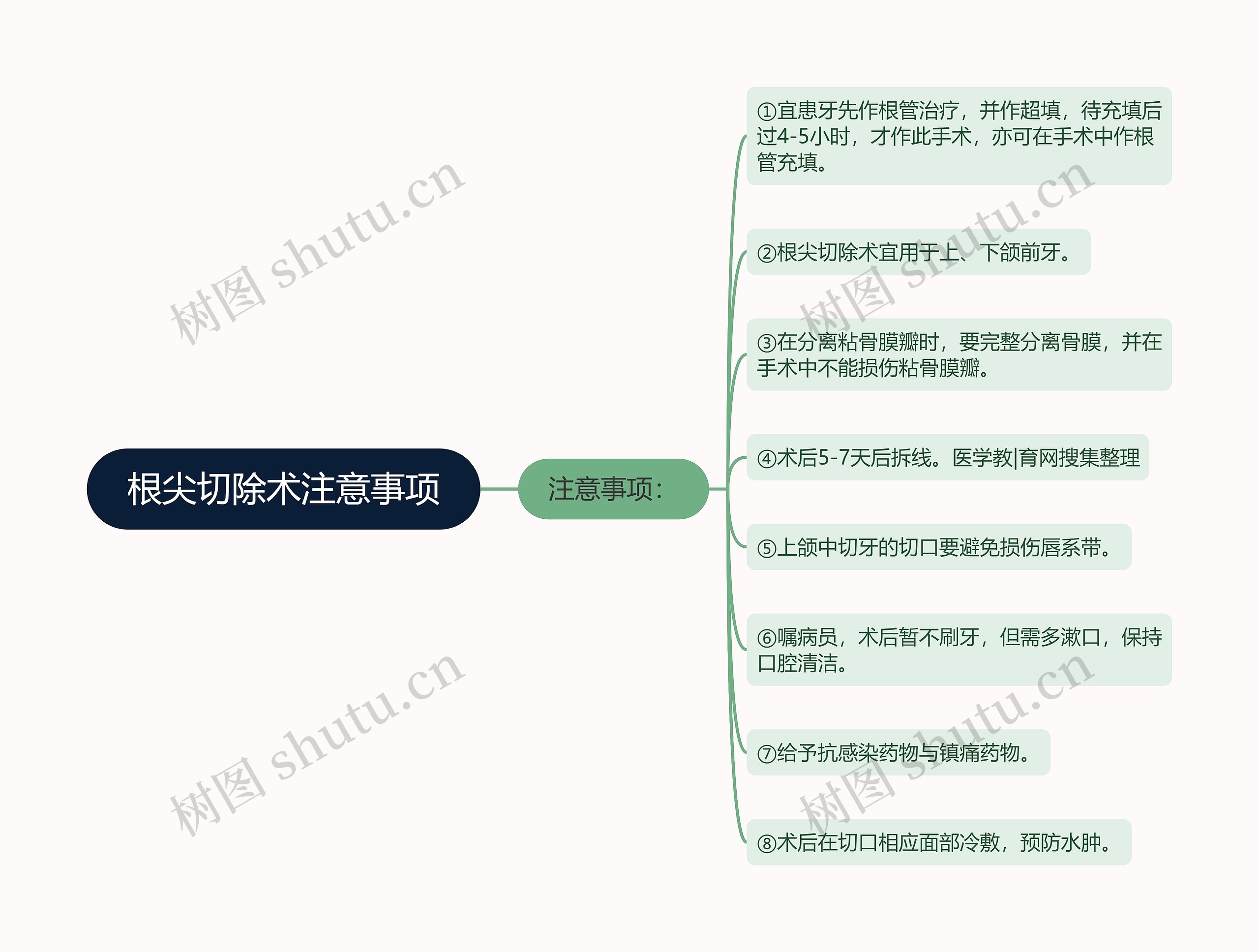 根尖切除术注意事项思维导图