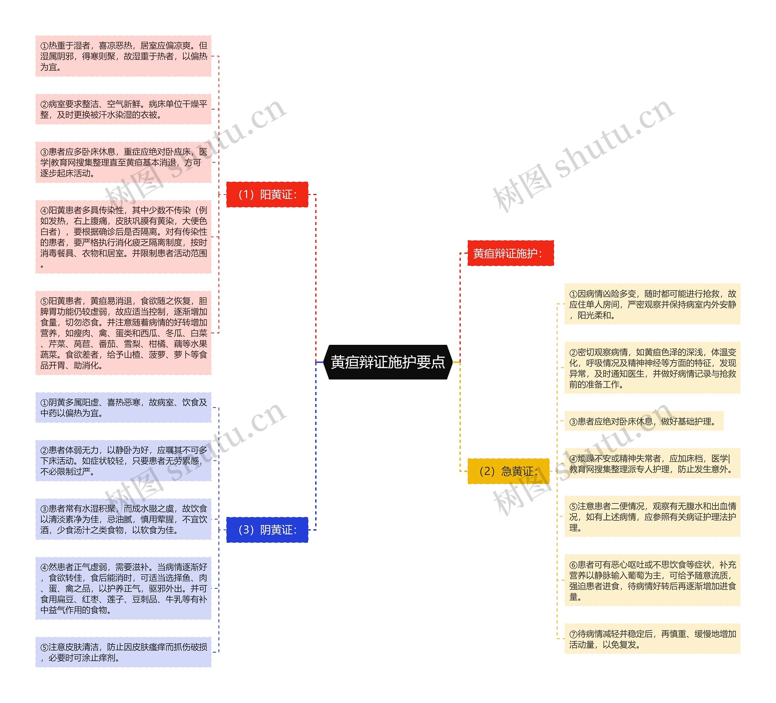 黄疸辩证施护要点思维导图