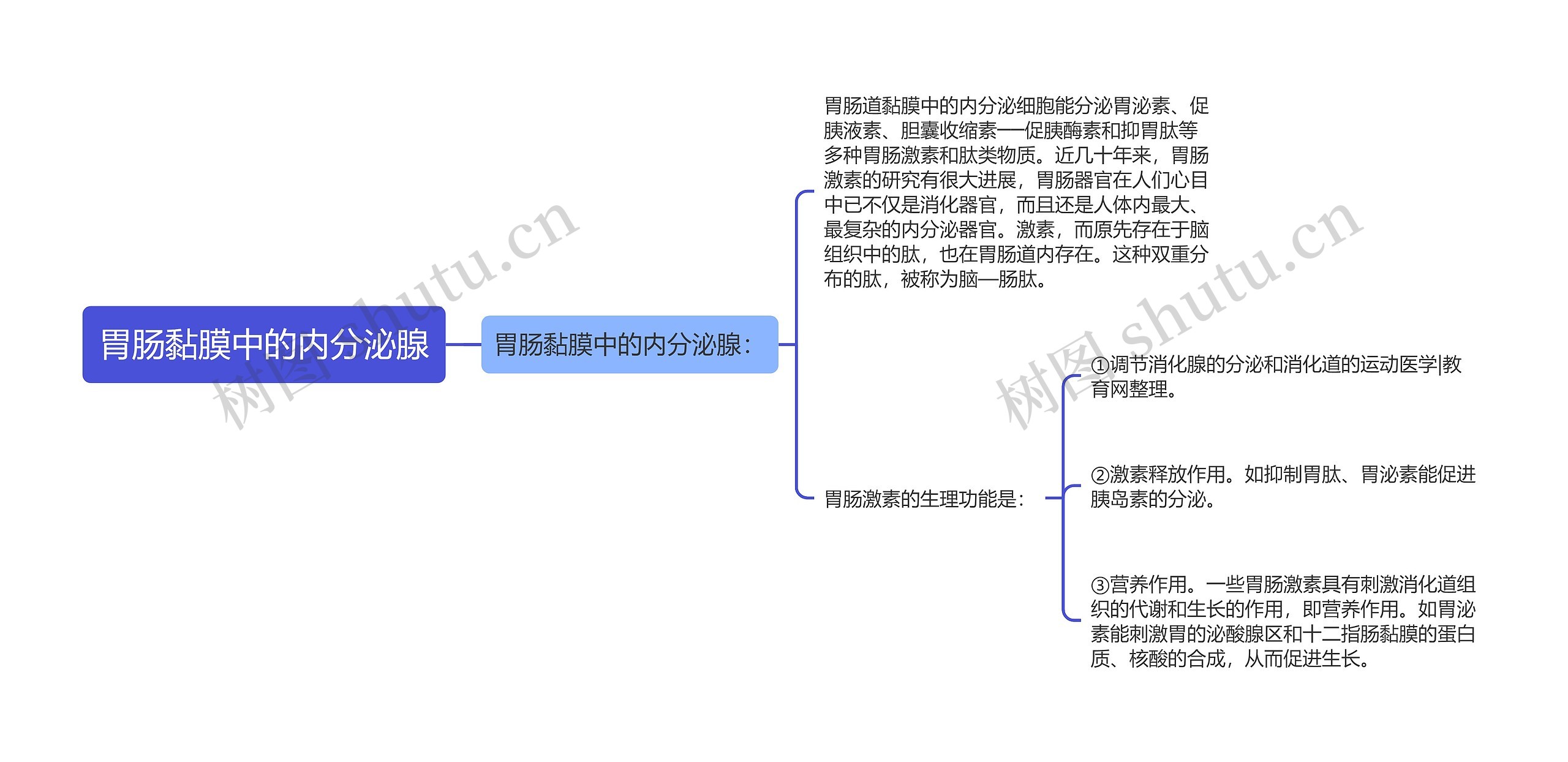 胃肠黏膜中的内分泌腺思维导图