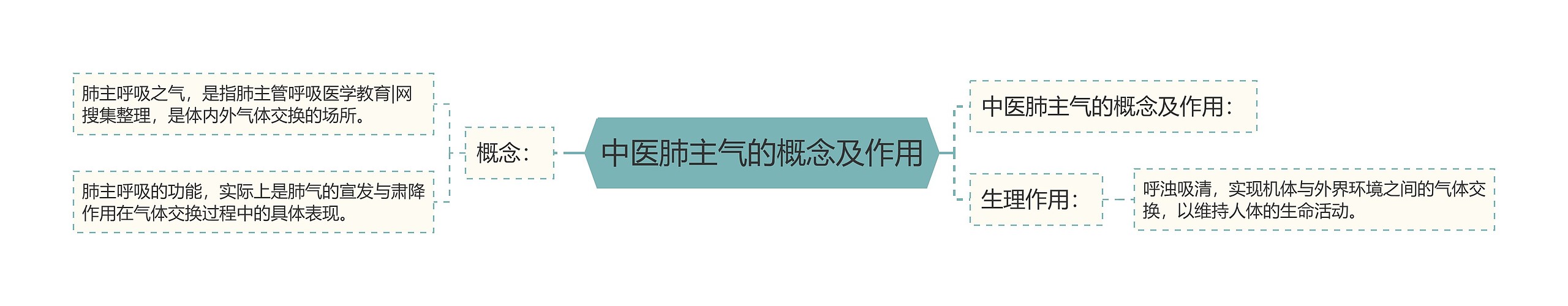 中医肺主气的概念及作用思维导图