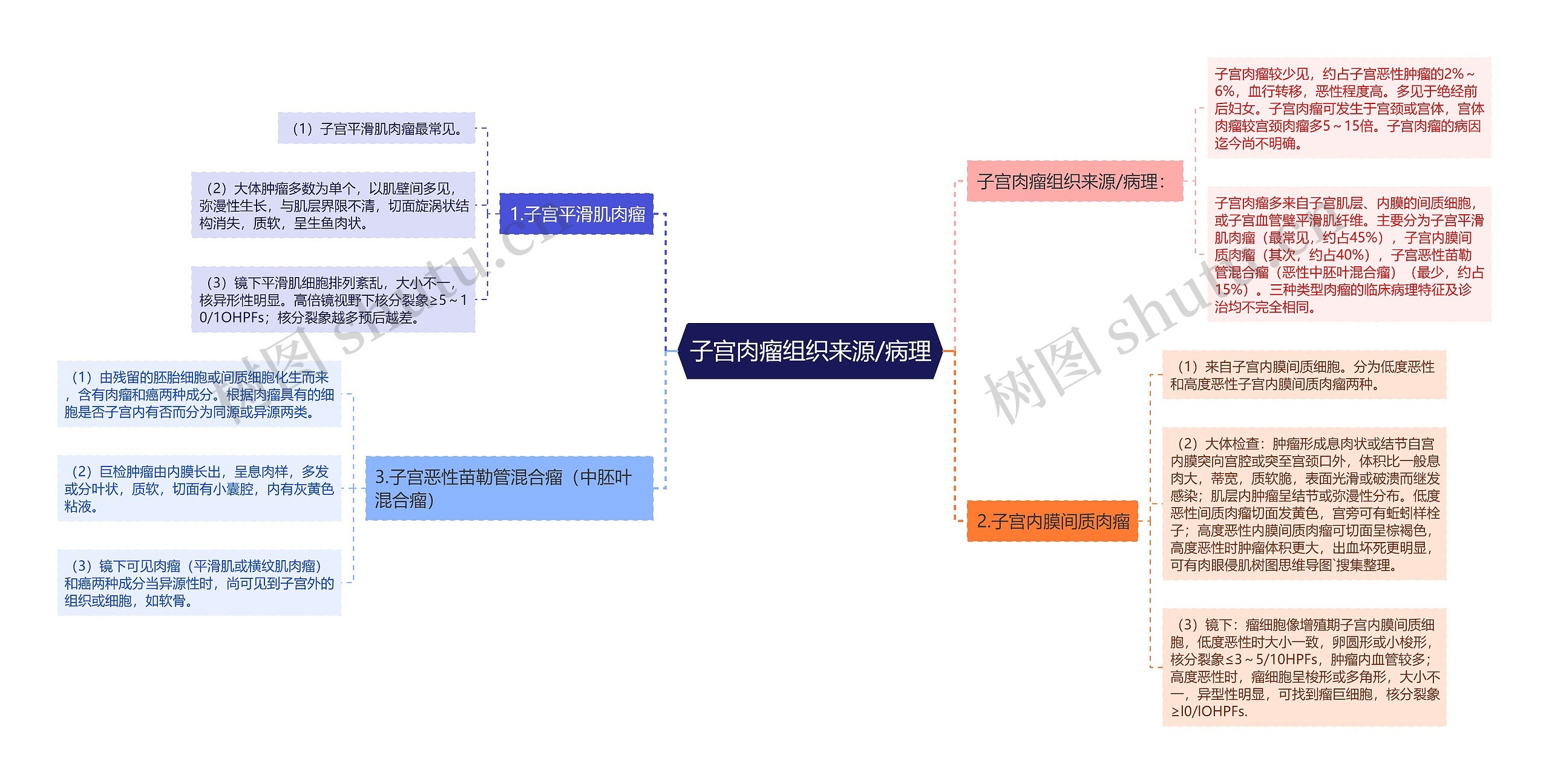 子宫肉瘤组织来源/病理思维导图