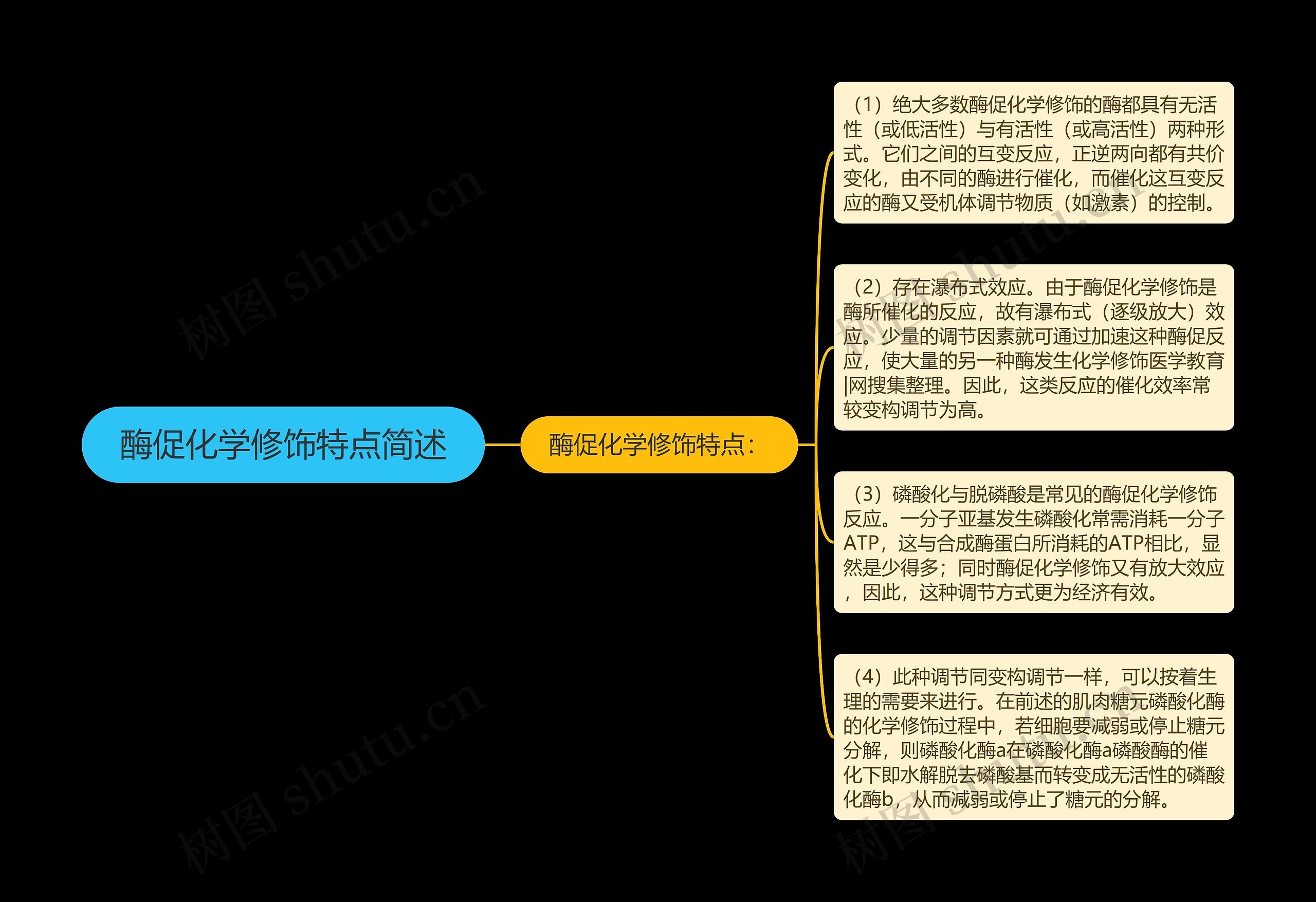 酶促化学修饰特点简述